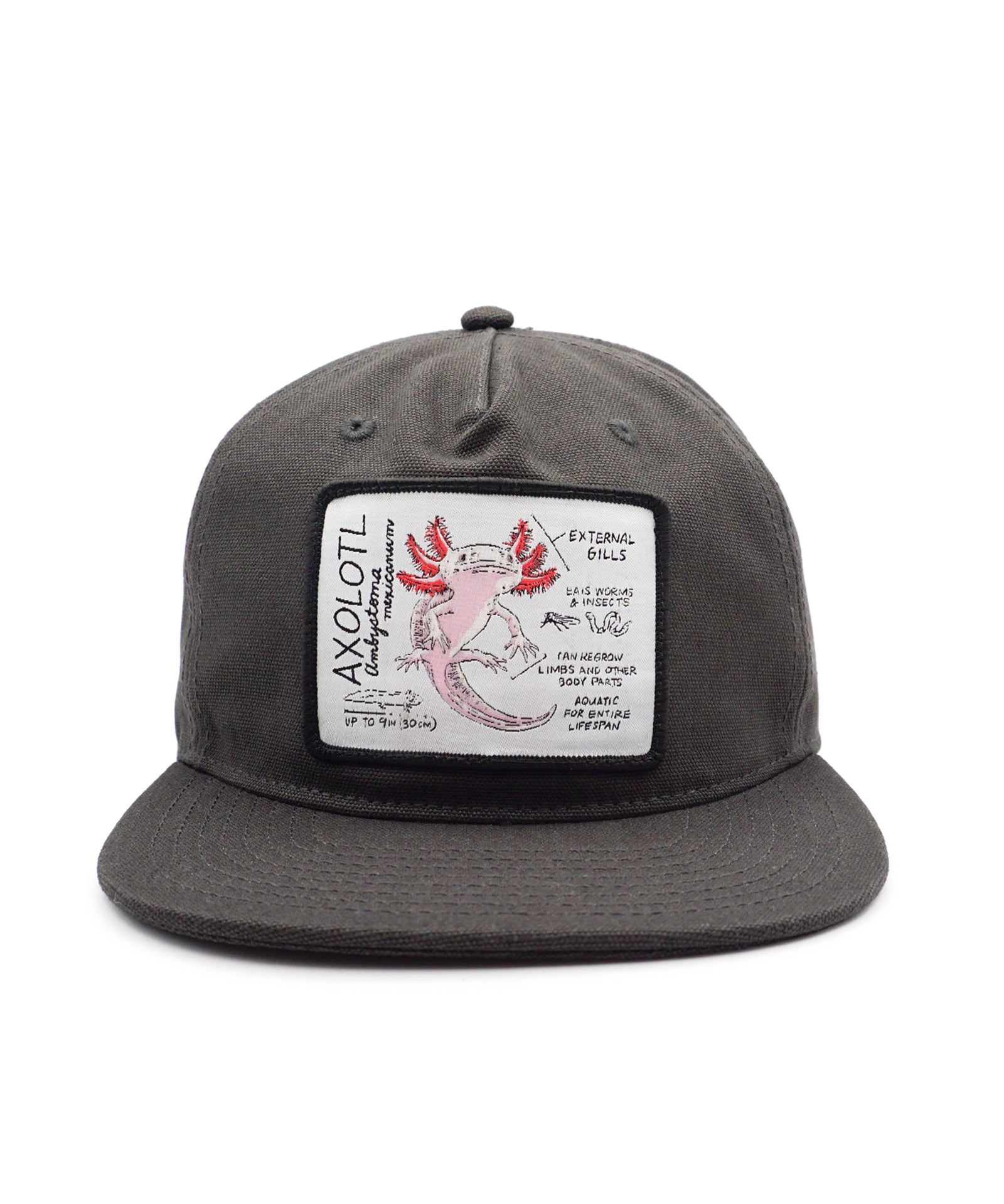 Gray cap with a label featuring a pink axolotl on a white background