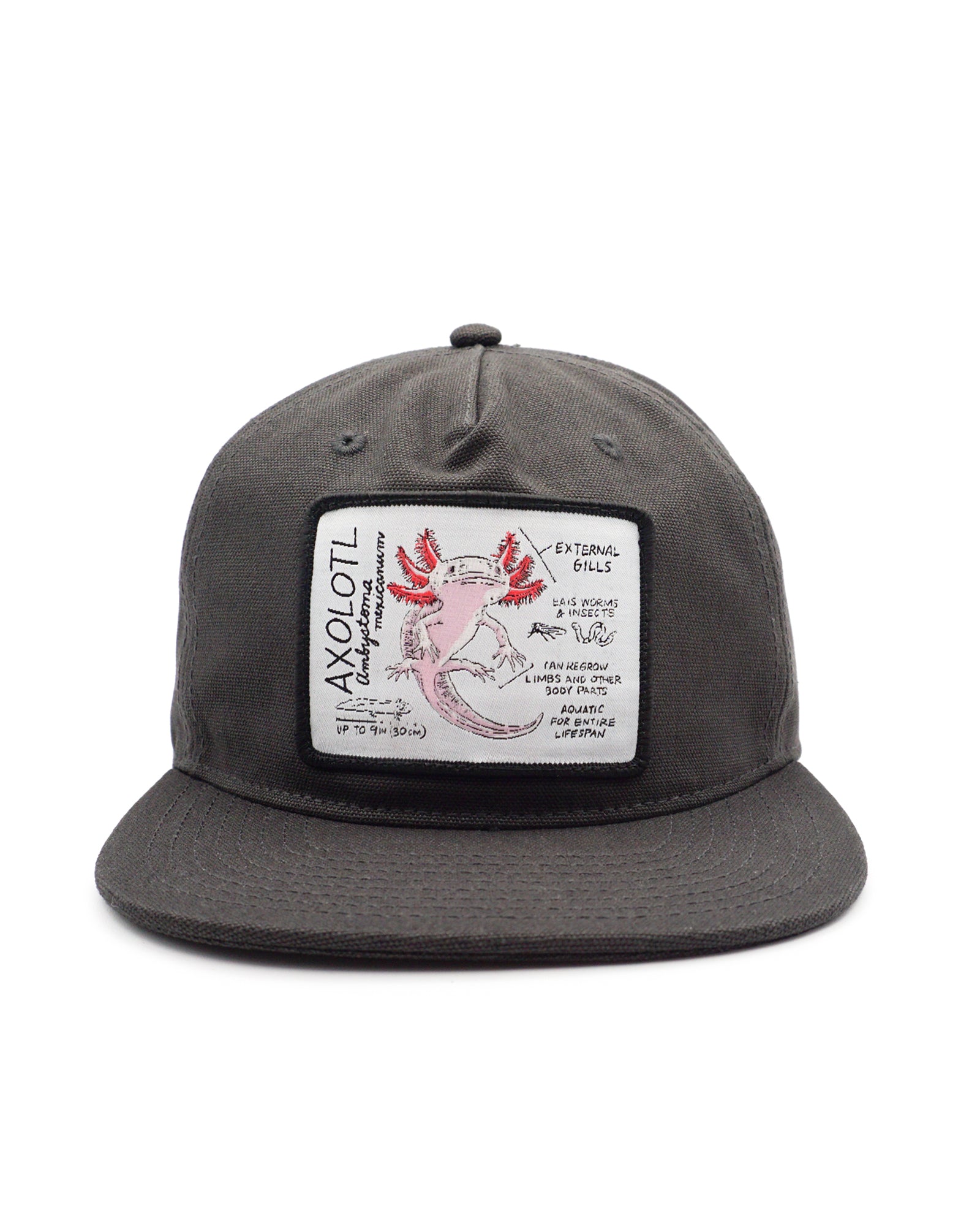 Gray cap with a label featuring a pink axolotl on a white background