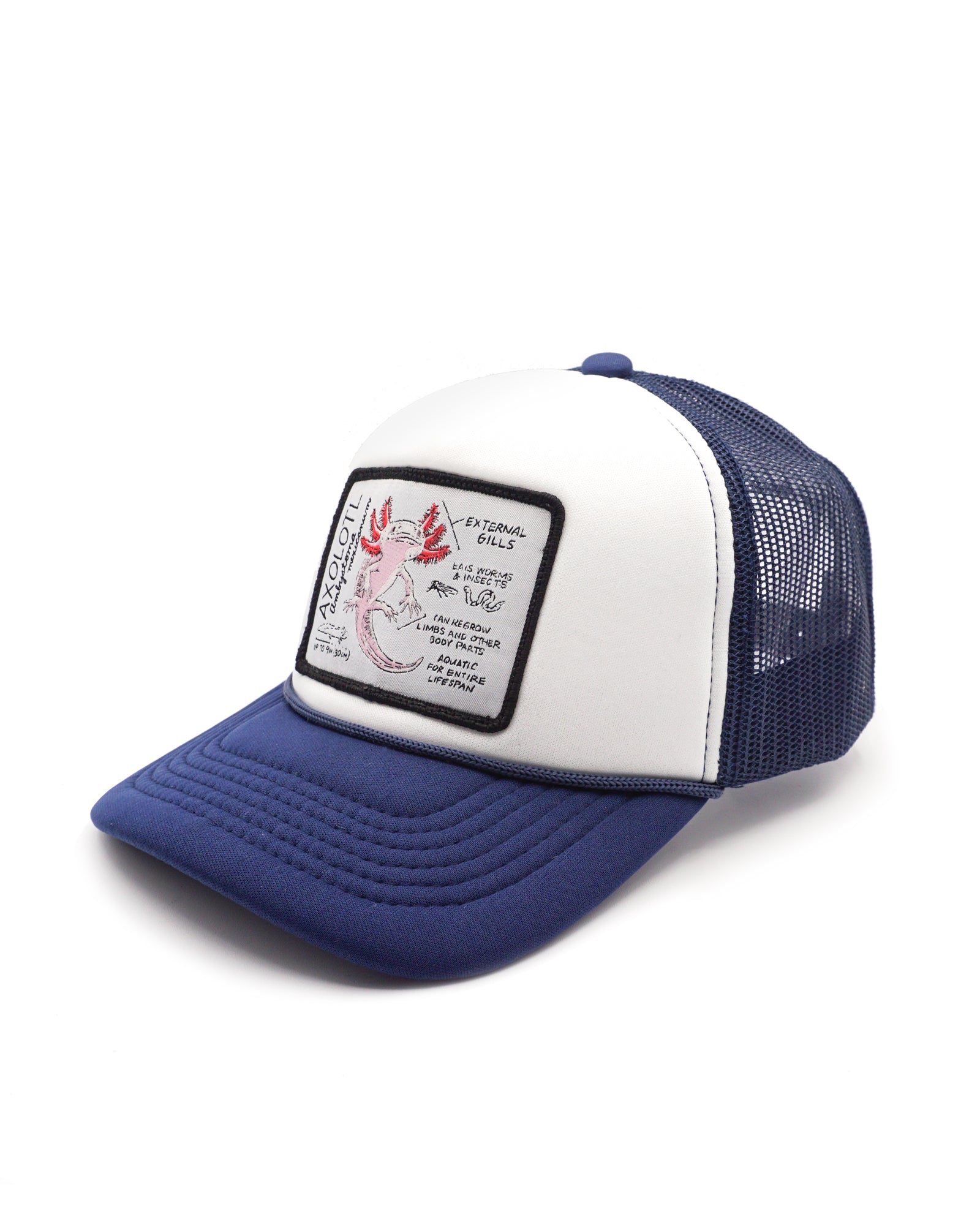 Blue and white youth trucker hat with a axolotl patch on a white background