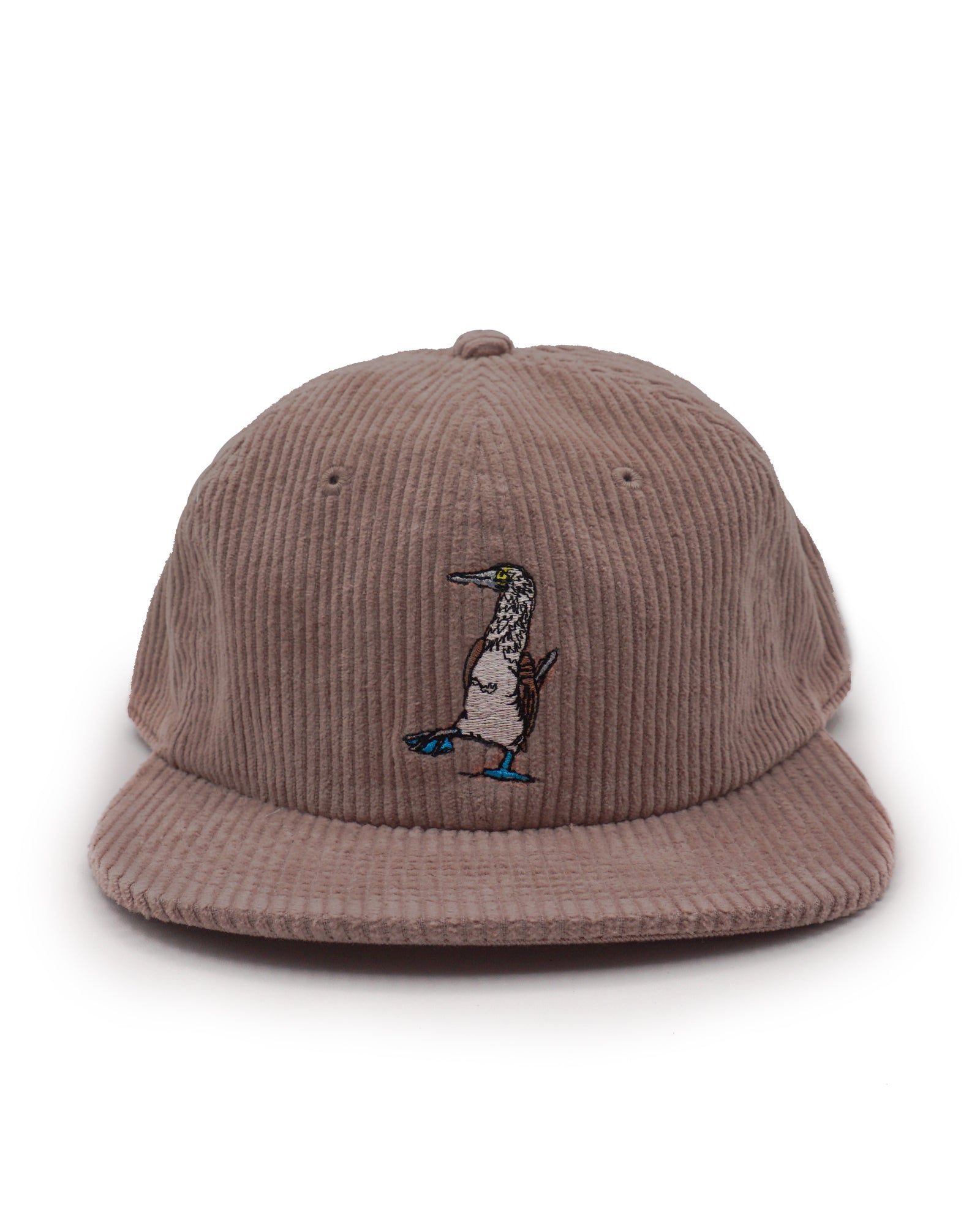 Brown corduroy cap with embroidered blue footed booby design on a white background
