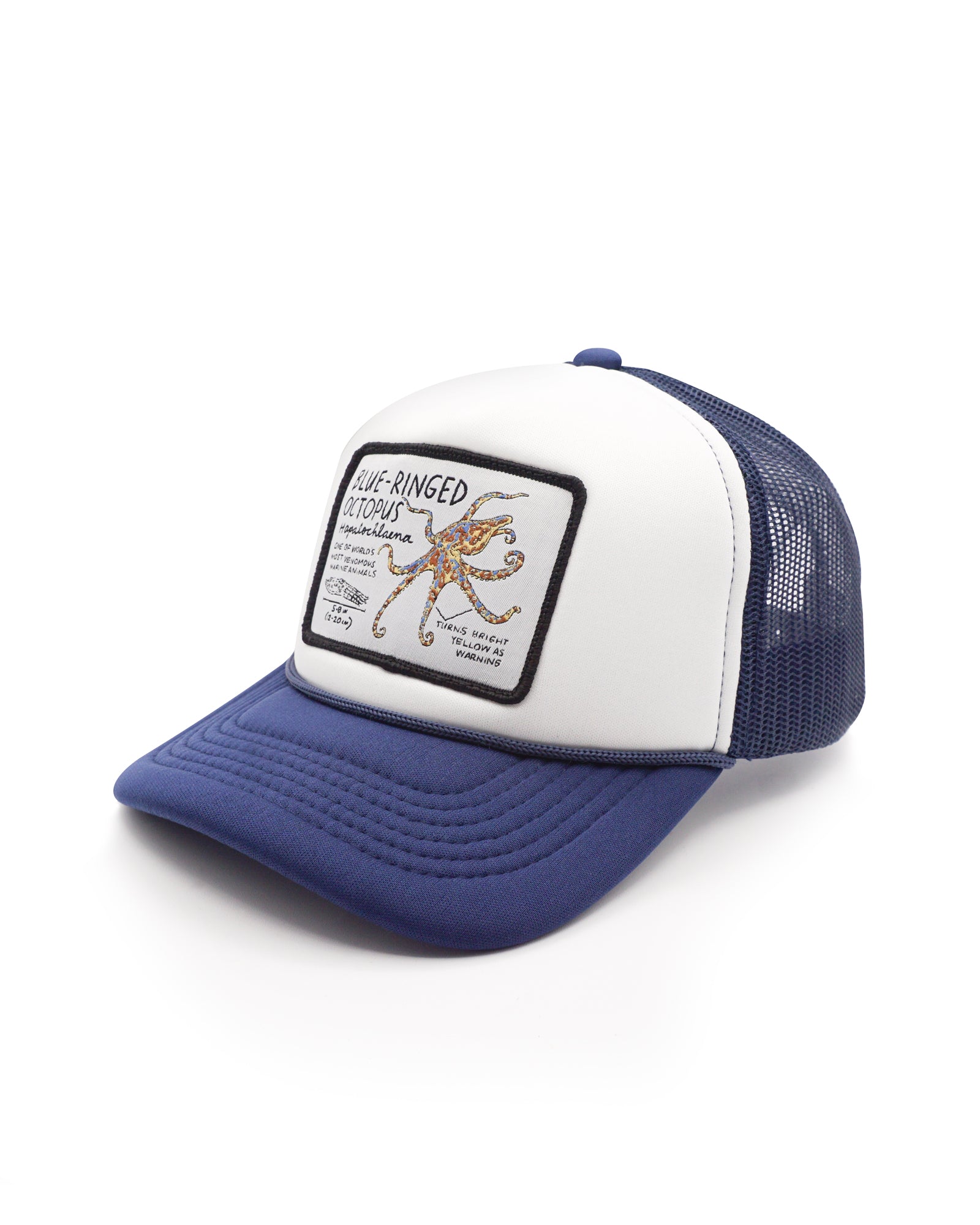 Blue and white youth trucker hat with a blue ringed octopus patch on a white background
