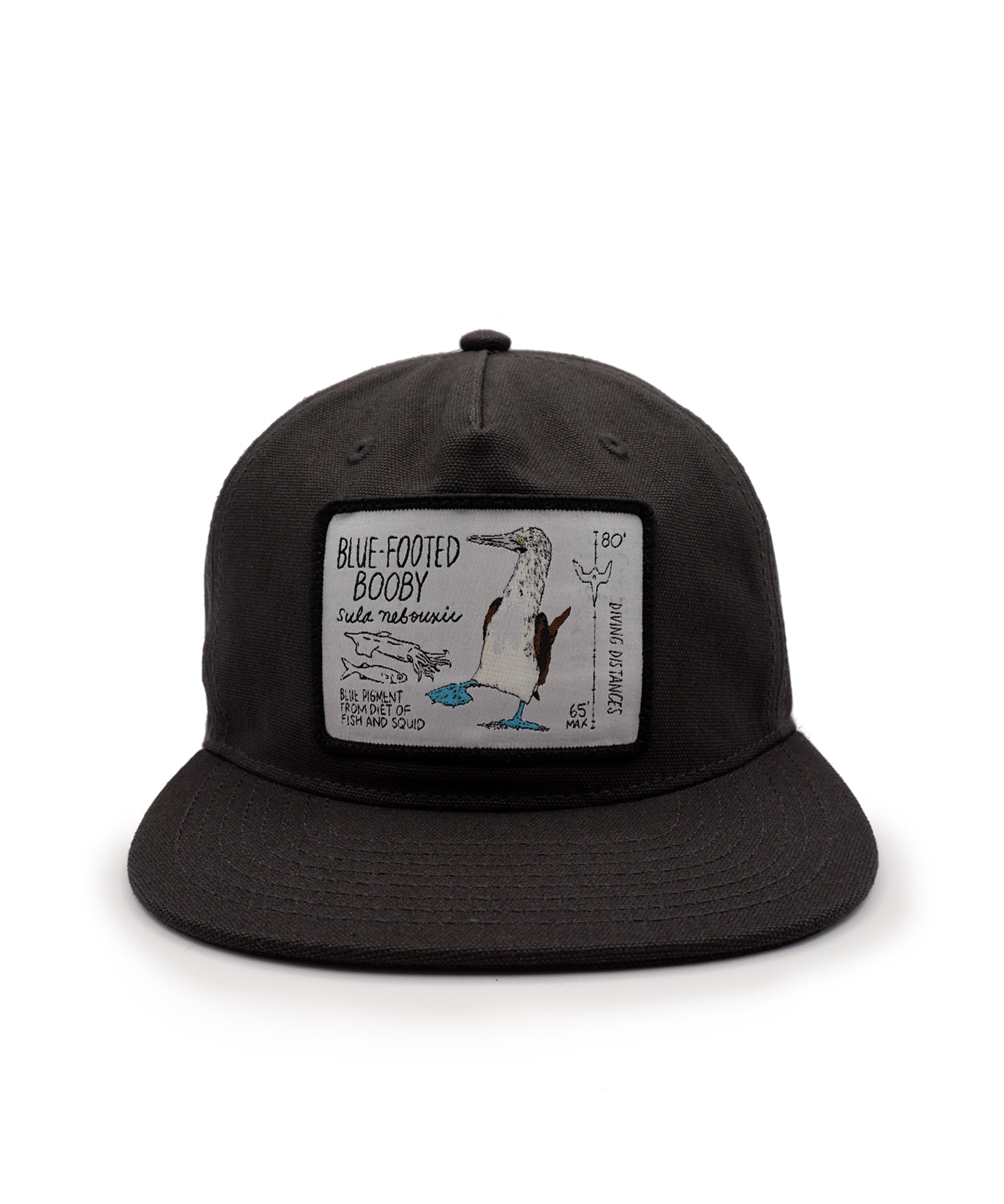 Black cap with a blue footed booby patch on a white background