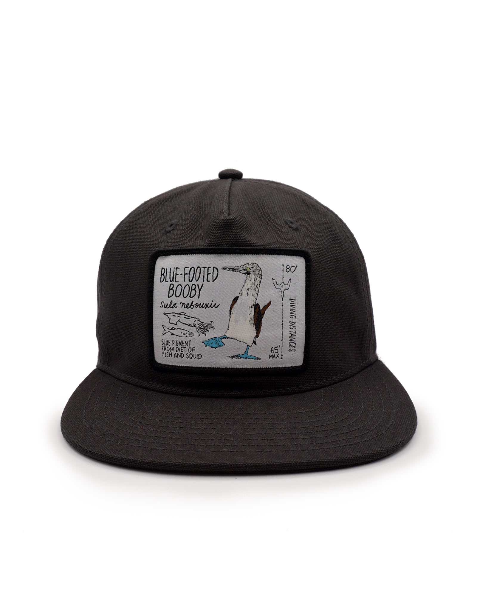Black cap with a blue footed booby patch on a white background