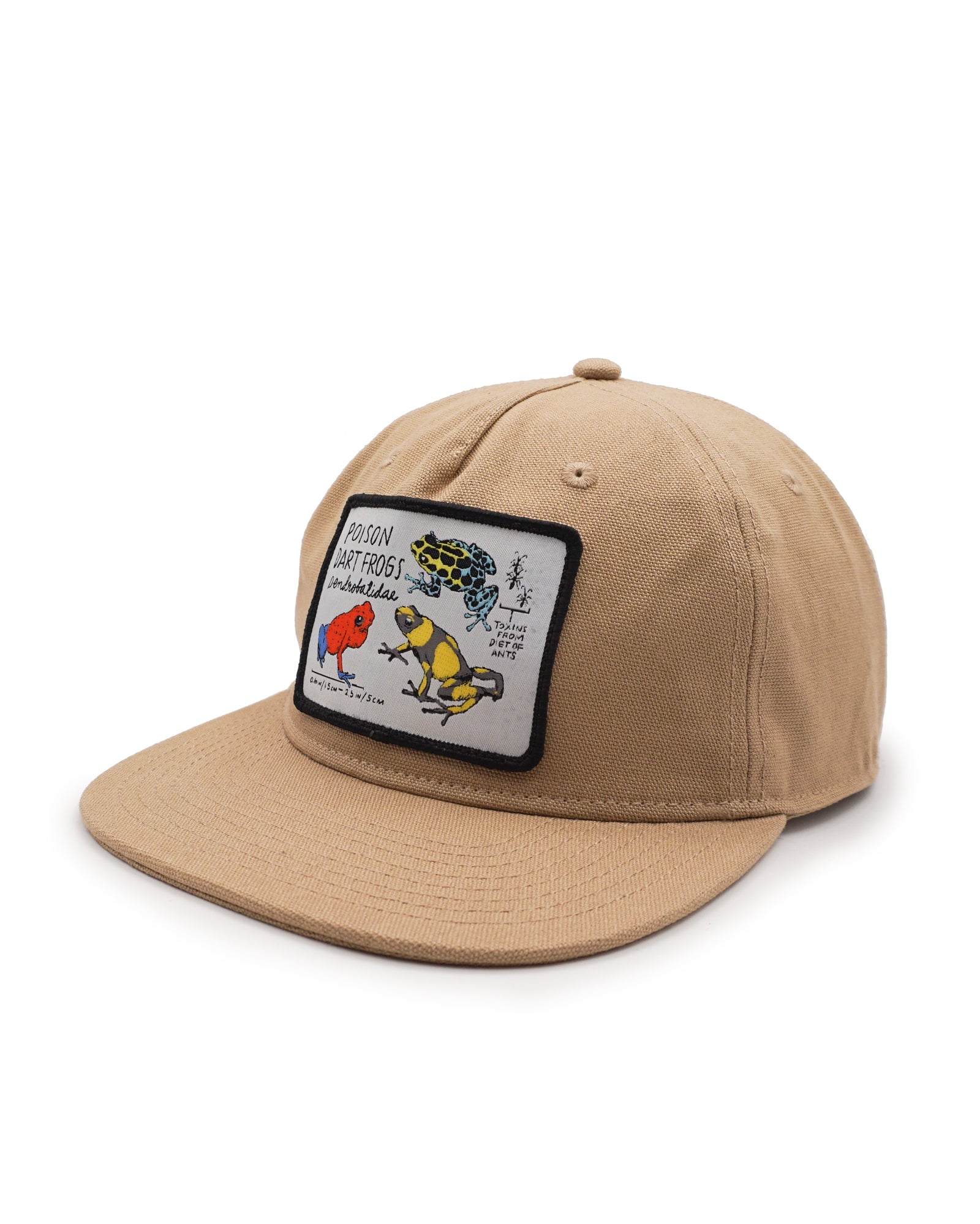 Beige cap with a colorful patch featuring frogs on a white background