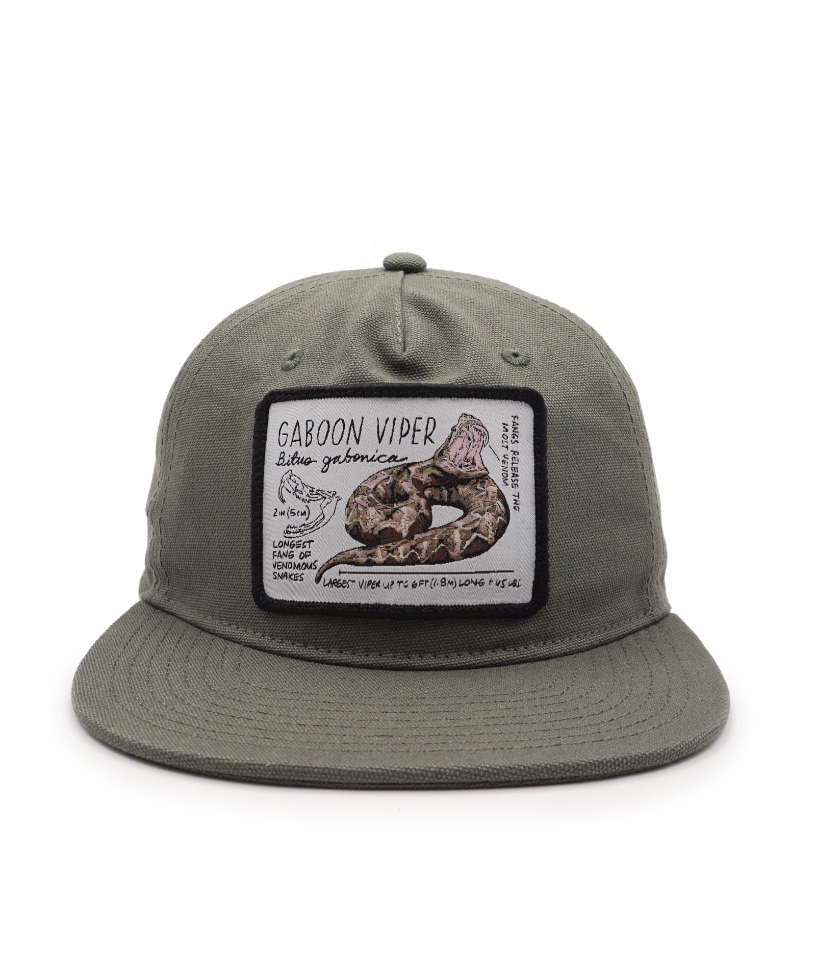 Green cap with a Gaboon Viper patch on a white background