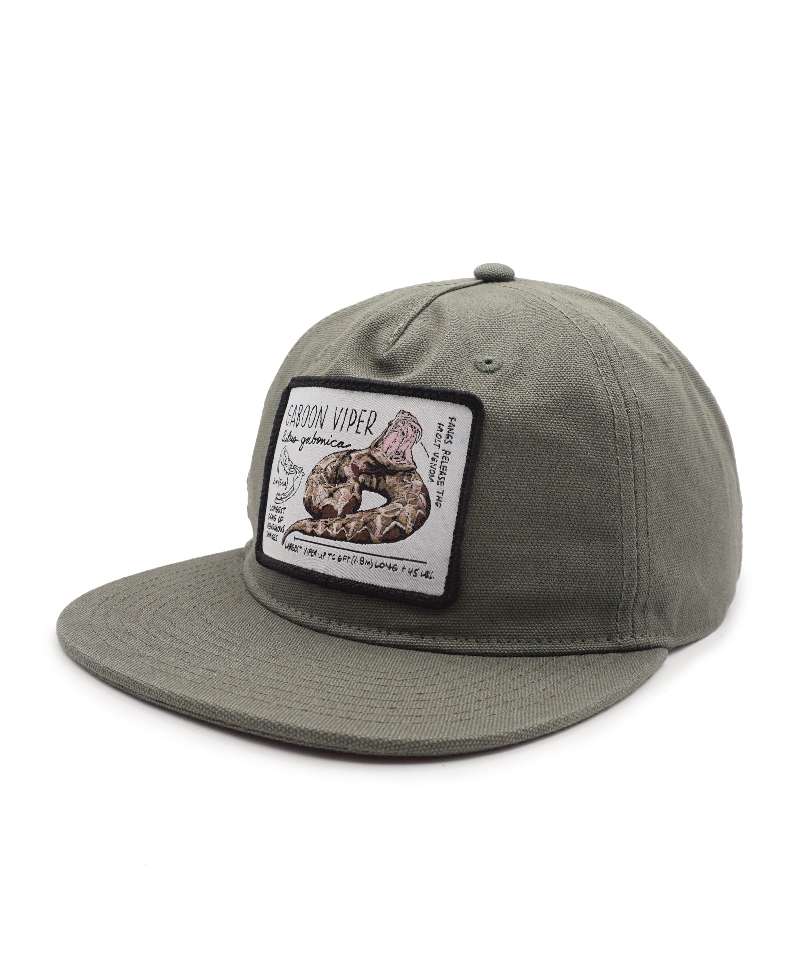 Green cap with a snake patch on a white background