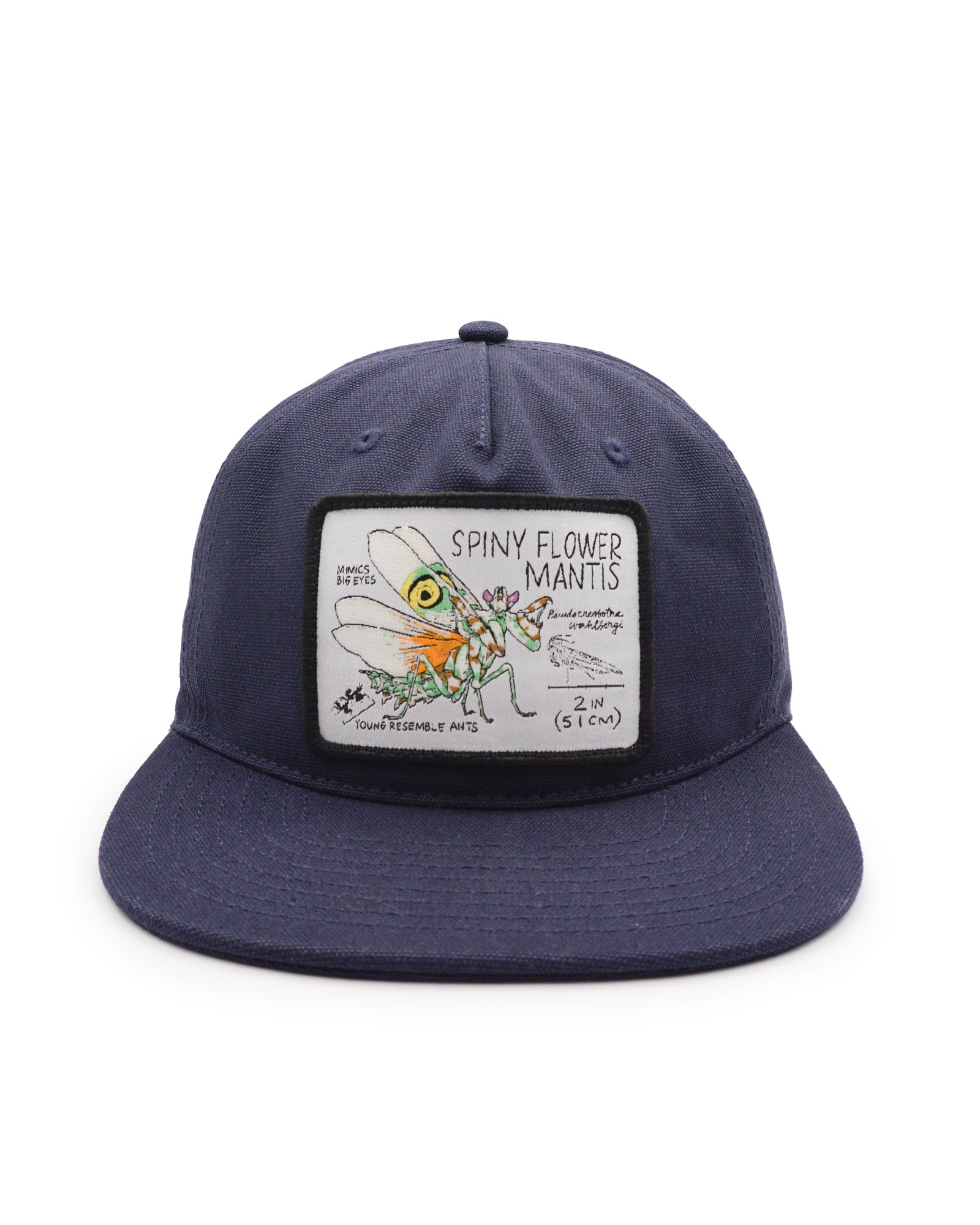 Navy blue cap with a graphic of a spiny flower mantis on a white background