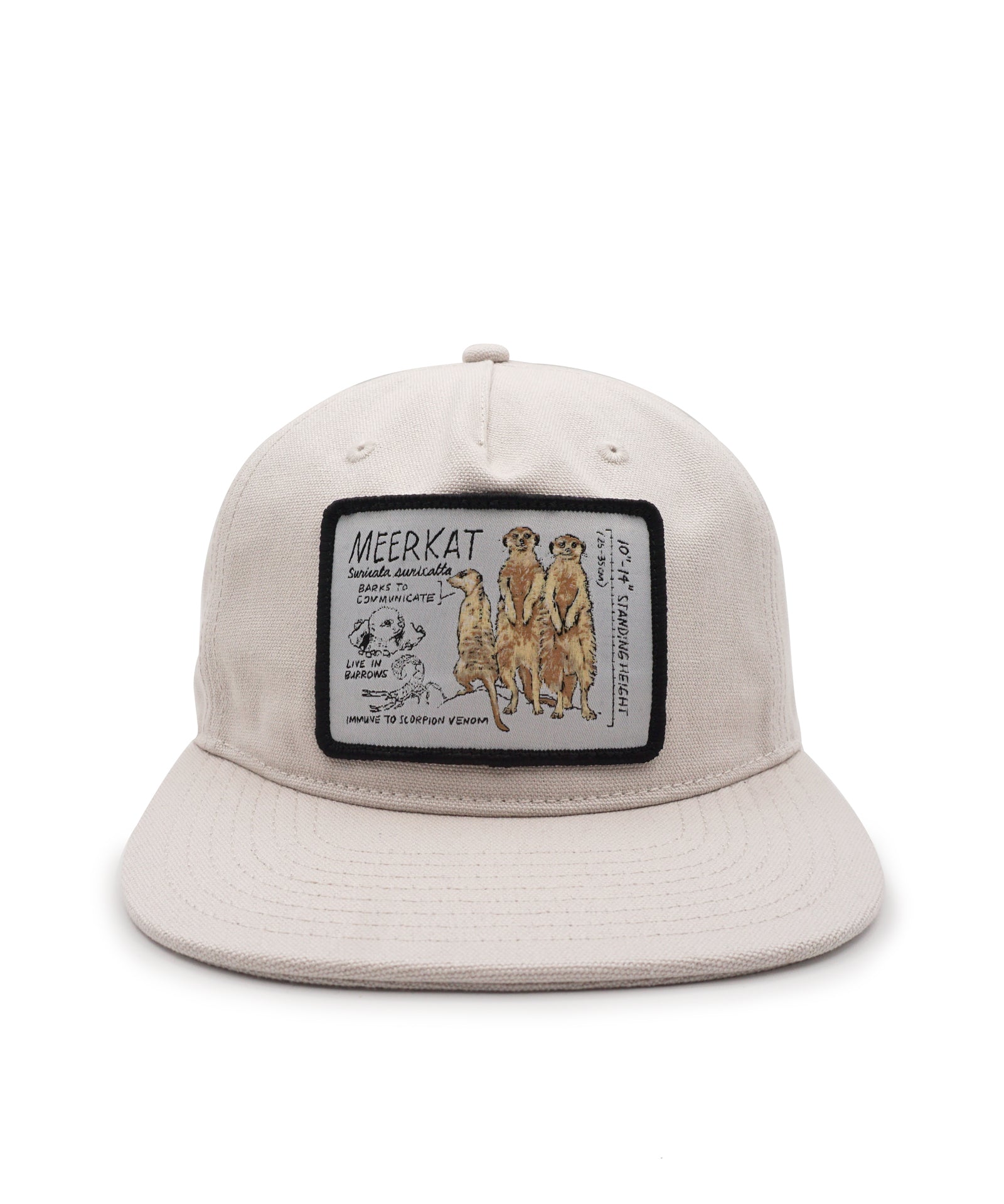 Beige cap with a patch featuring illustrations of meerkats on a white background