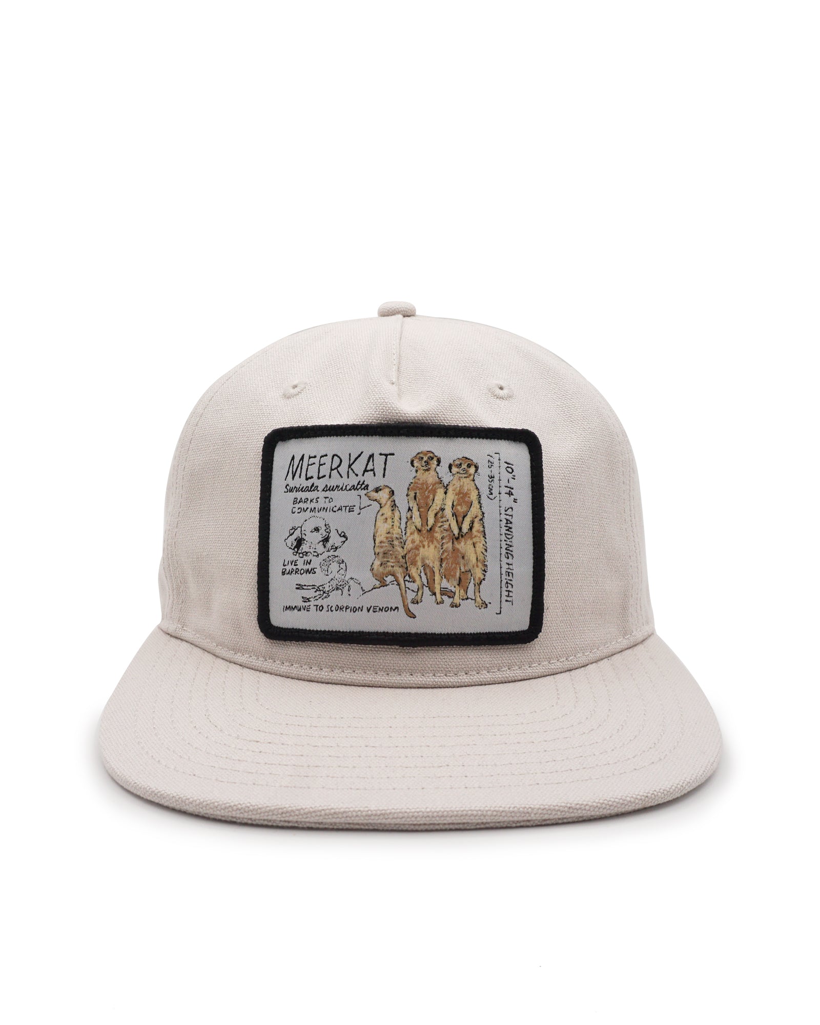Beige cap with a patch featuring illustrations of meerkats on a white background