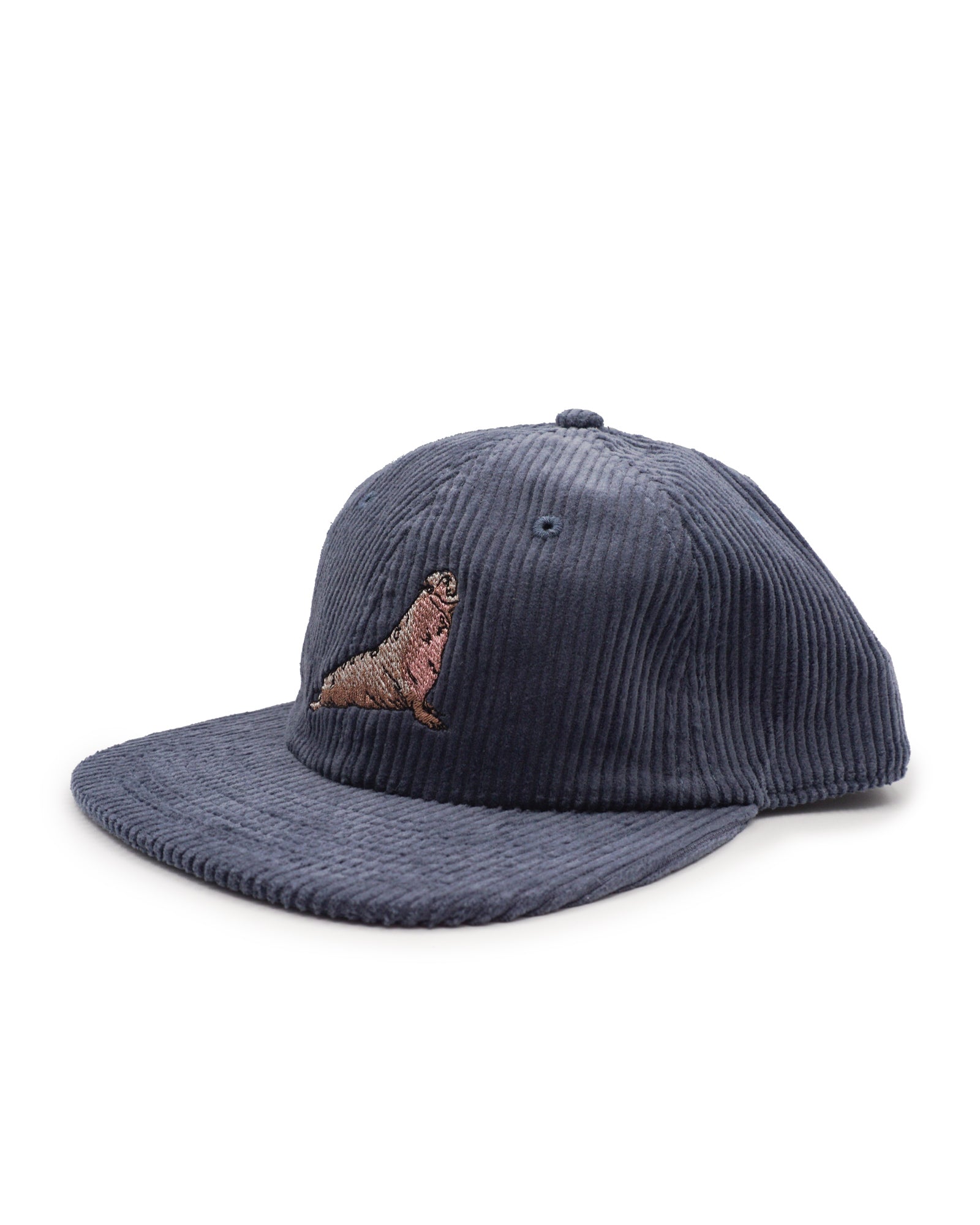 Navy blue corduroy cap with an elephant seal on a white background