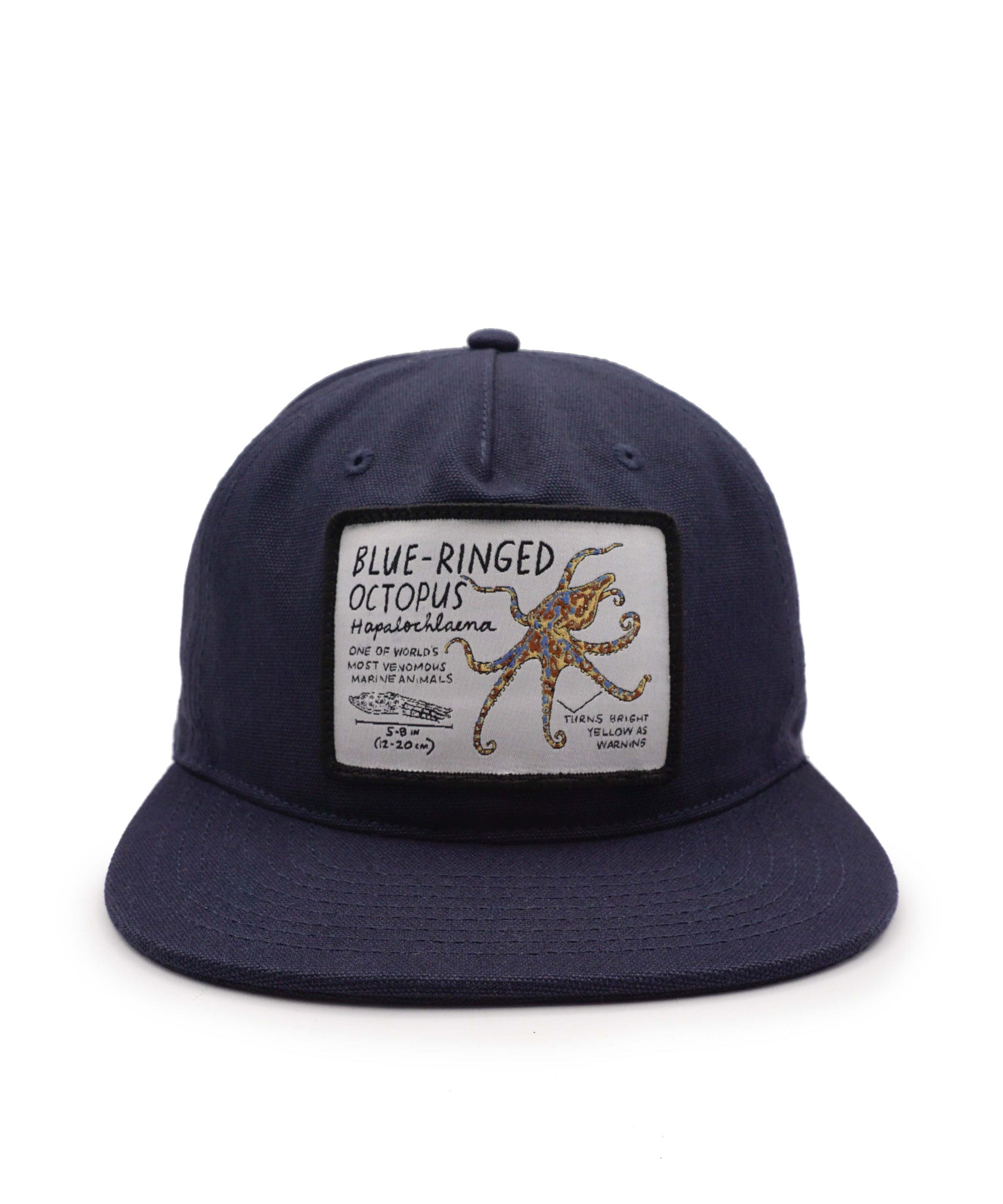 Navy blue cap with a patch featuring a blue-ringed octopus on a white background