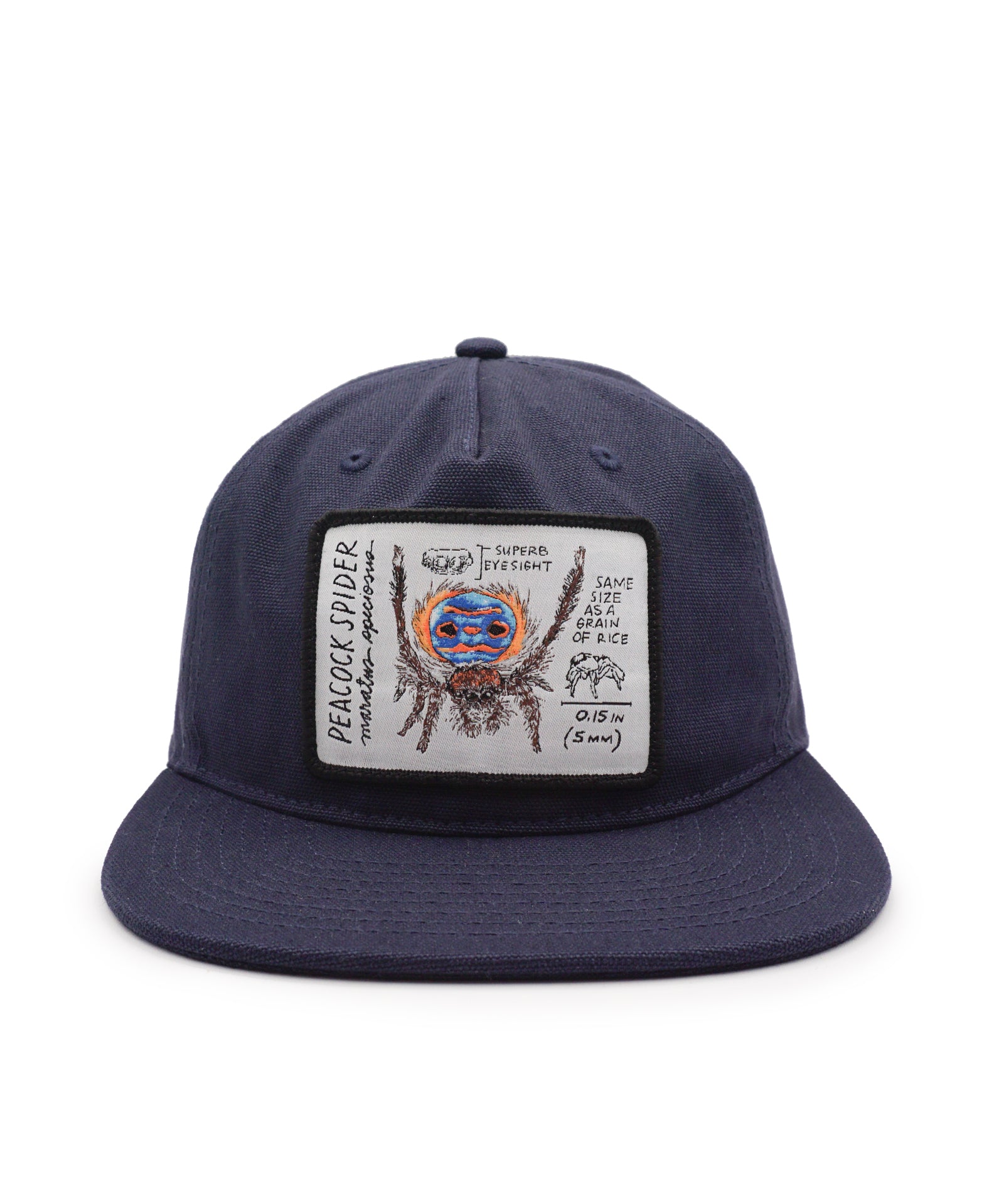 Navy blue cap with a peacock spider graphic and text patch on a white background