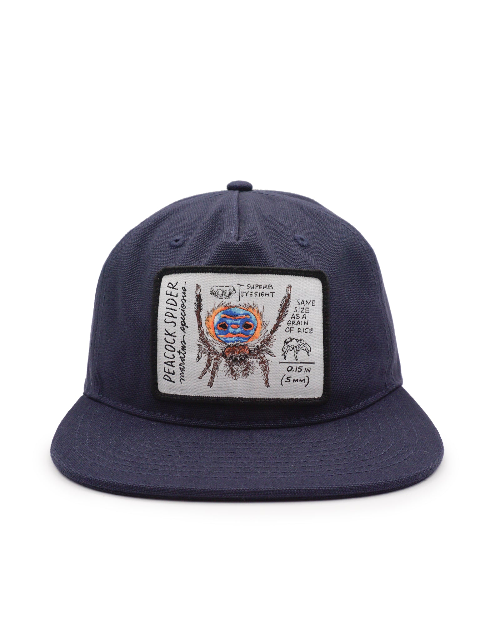 Navy blue cap with a peacock spider graphic and text patch on a white background