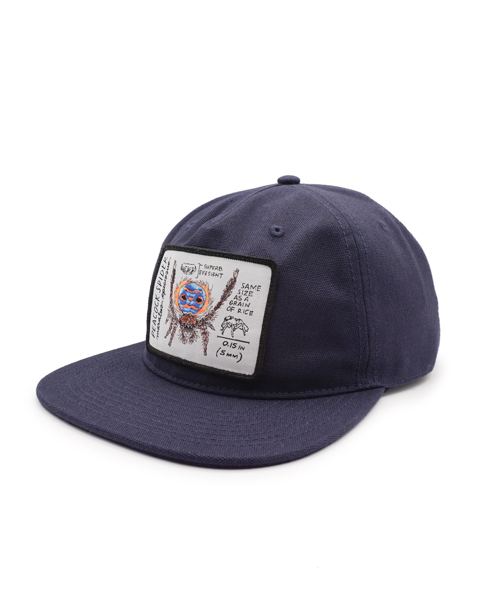 side view of a Navy blue cap with a peacock spider patch on a white background