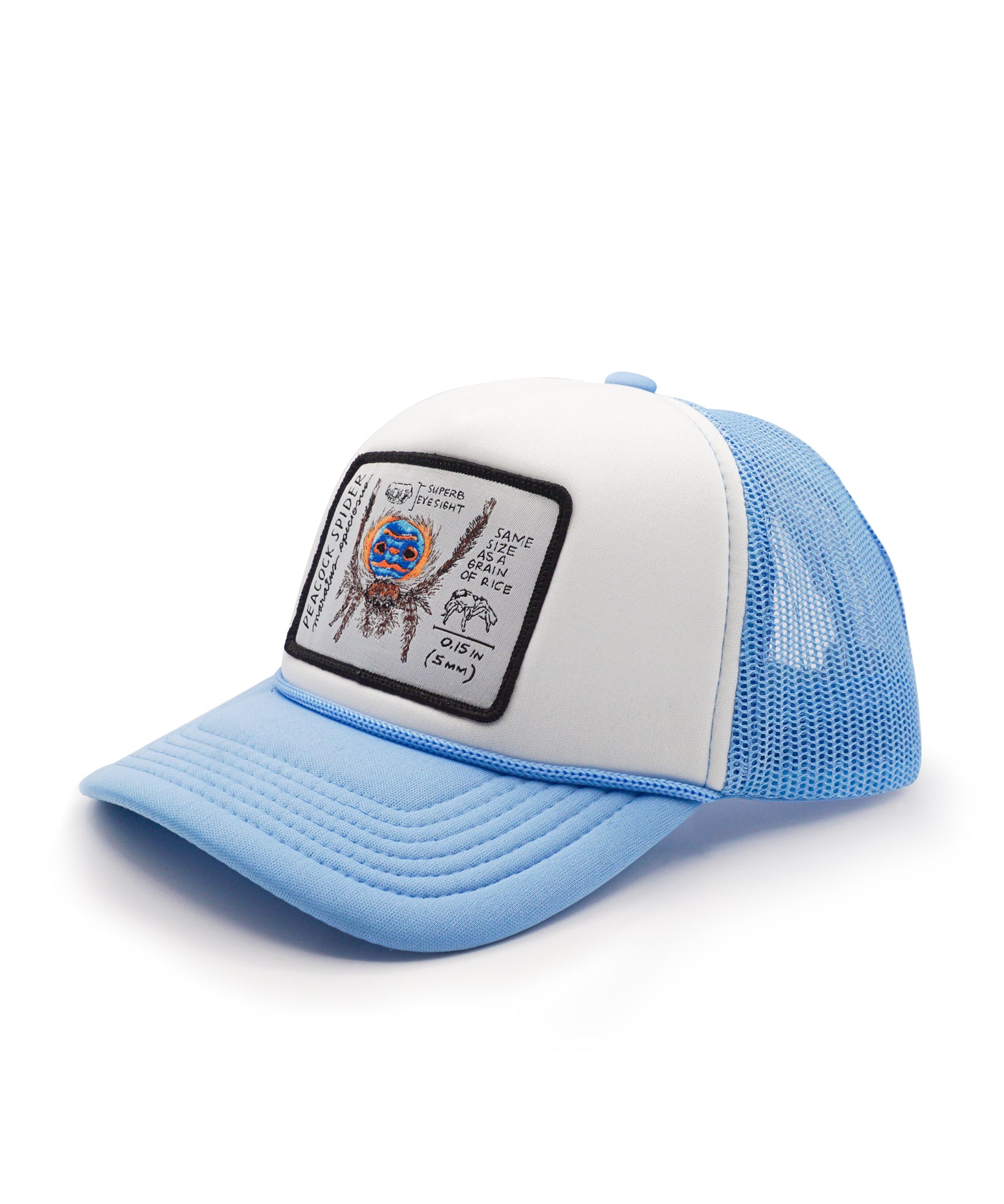 Blue and white peacock spider youth trucker hat with a patch on a white background