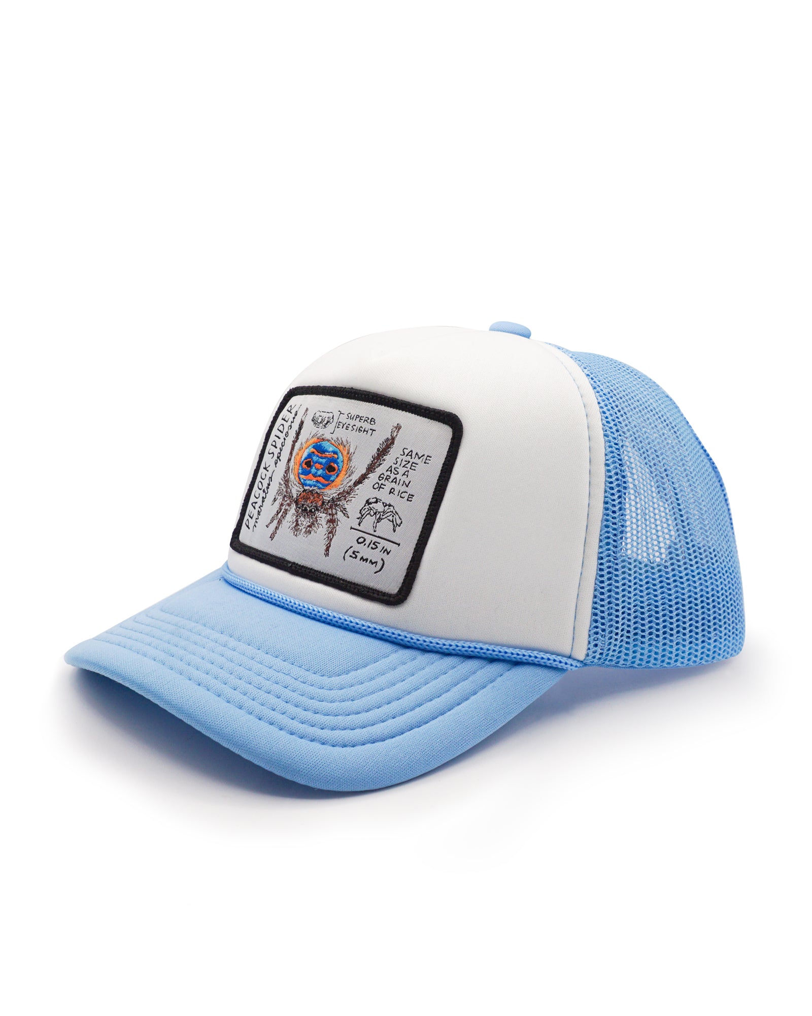 Blue and white peacock spider youth trucker hat with a patch on a white background