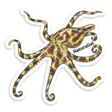 Sticker of a blue ringed octopus with 'Naturalist' text on a white background