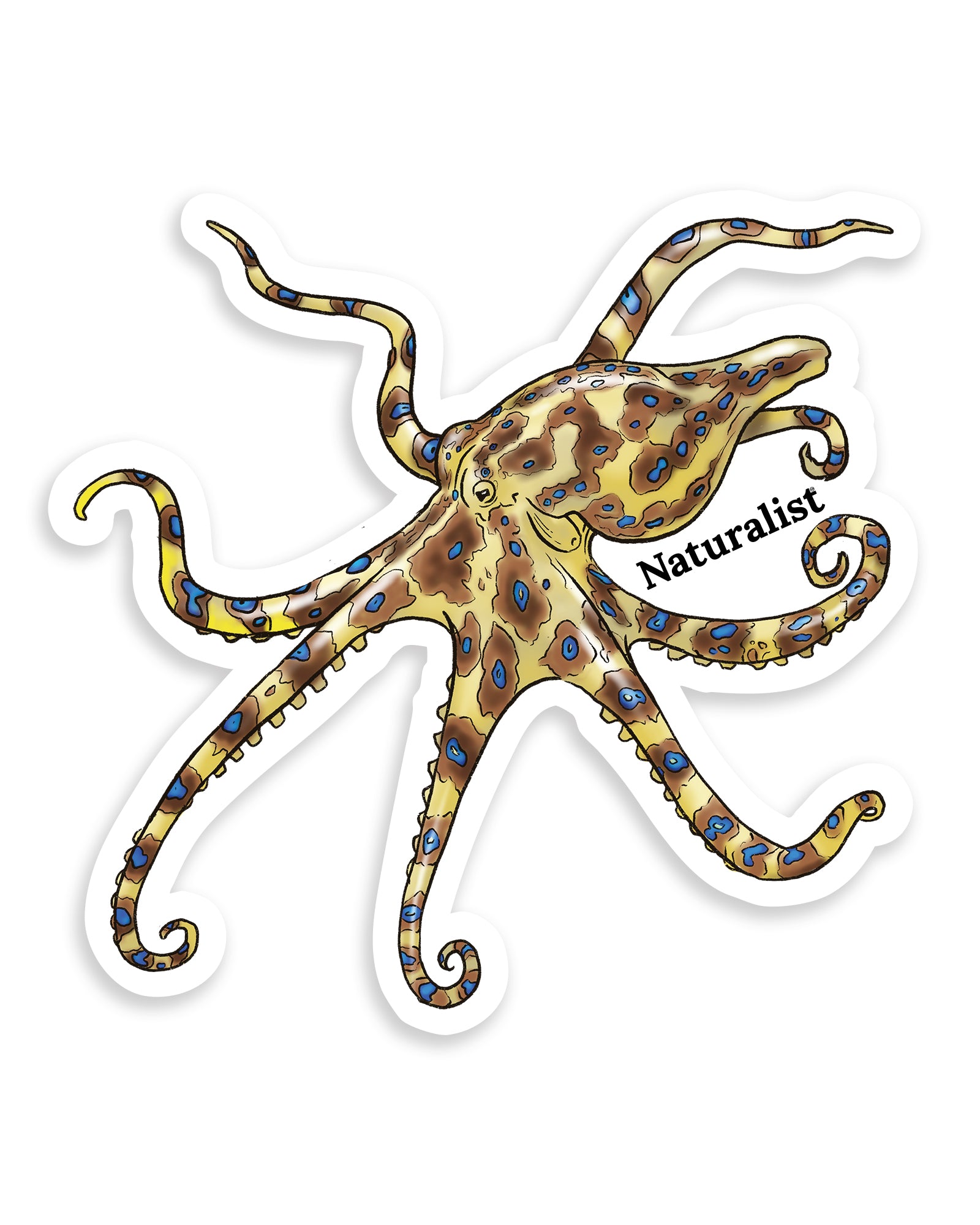 Sticker of a blue ringed octopus with 'Naturalist' text on a white background