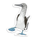 Sticker of a blue-footed booby bird with 'Naturalist' branding on a white background