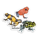 Three colorful poison dart frog illustrations on a white background with 'Naturalist' branding.
