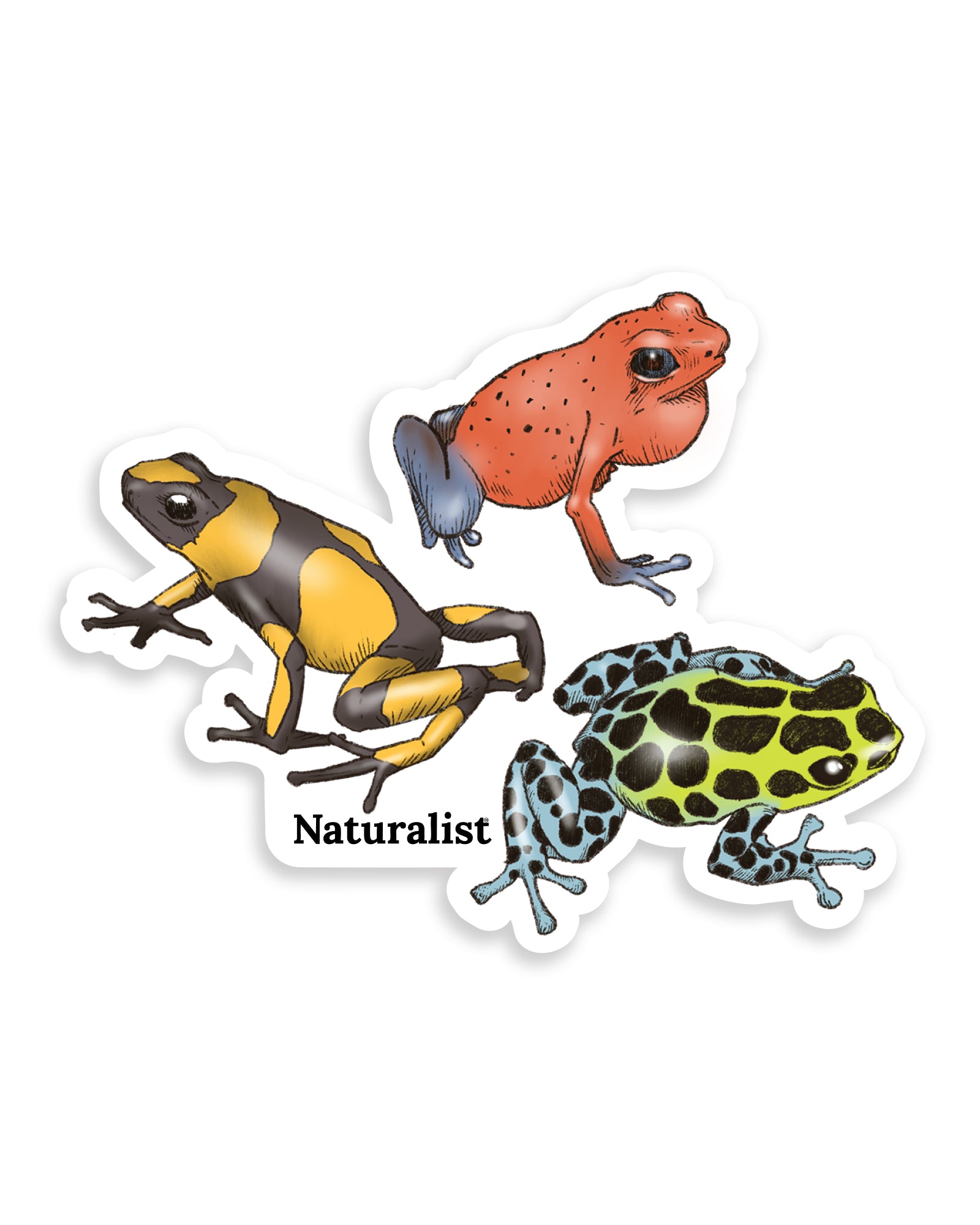 Three colorful poison dart frog illustrations on a white background with 'Naturalist' branding.