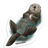 Naturalist sticker of a sea otter