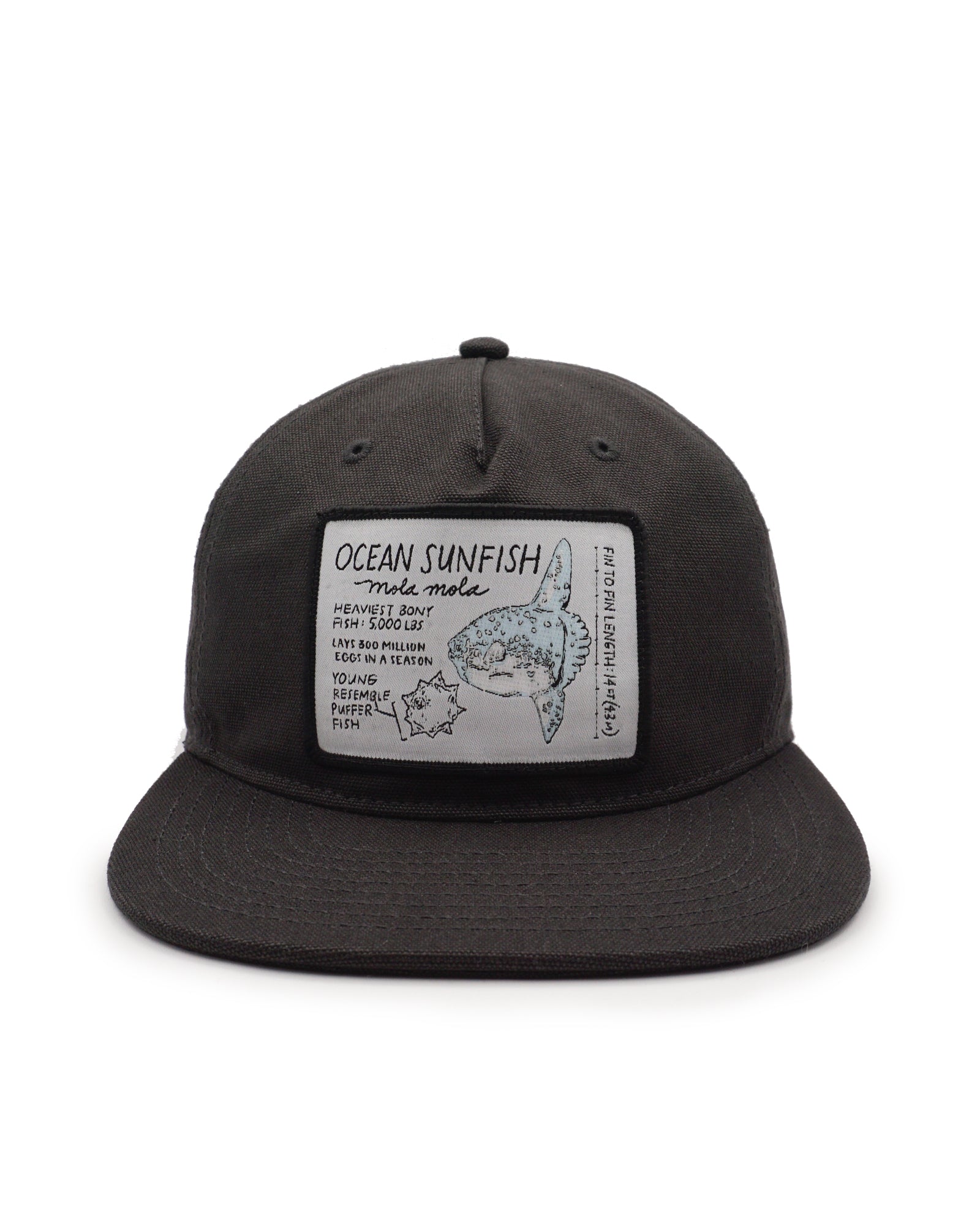 Black cap with a sunfish illustration patch on a white background