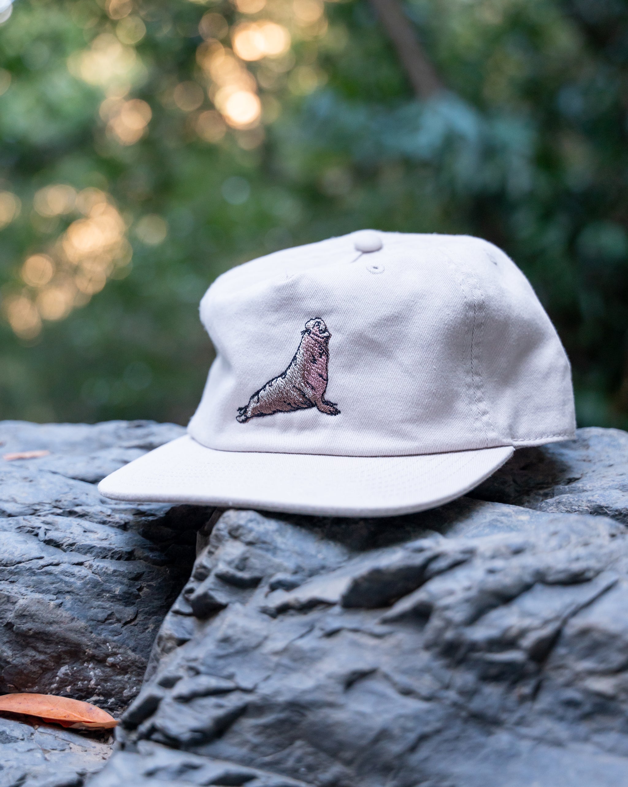 White cap with a northern elephant seal design on a rock with a blurred natural background
