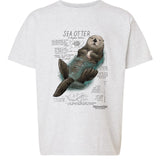 Youth sea otter graphic t-shirt in ash grey featuring illustrated sea otter and ocean species facts Naturalist youth tee