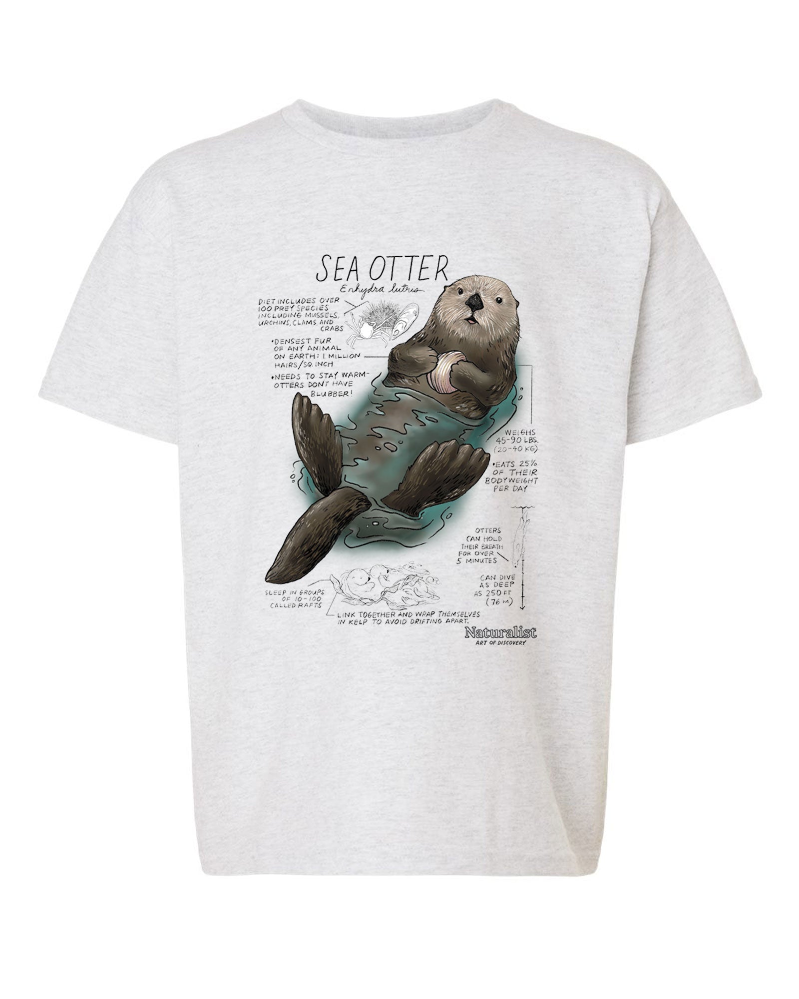 Youth sea otter graphic t-shirt in ash grey featuring illustrated sea otter and ocean species facts Naturalist youth tee