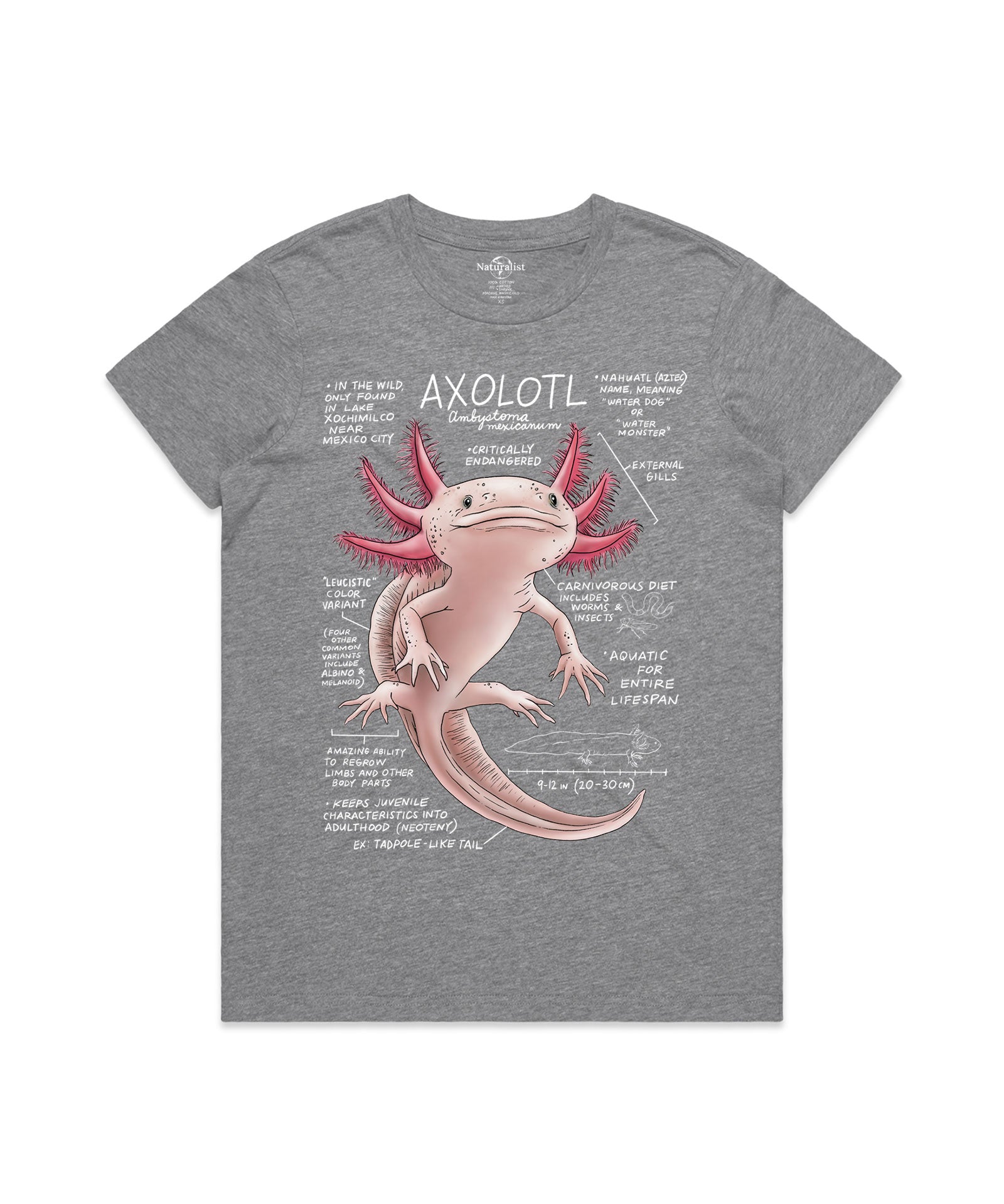 Gray t-shirt with axolotl graphic and text on a white background