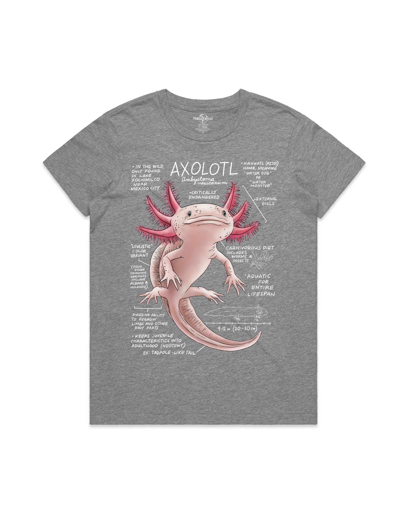 Gray t-shirt with axolotl graphic and text on a white background