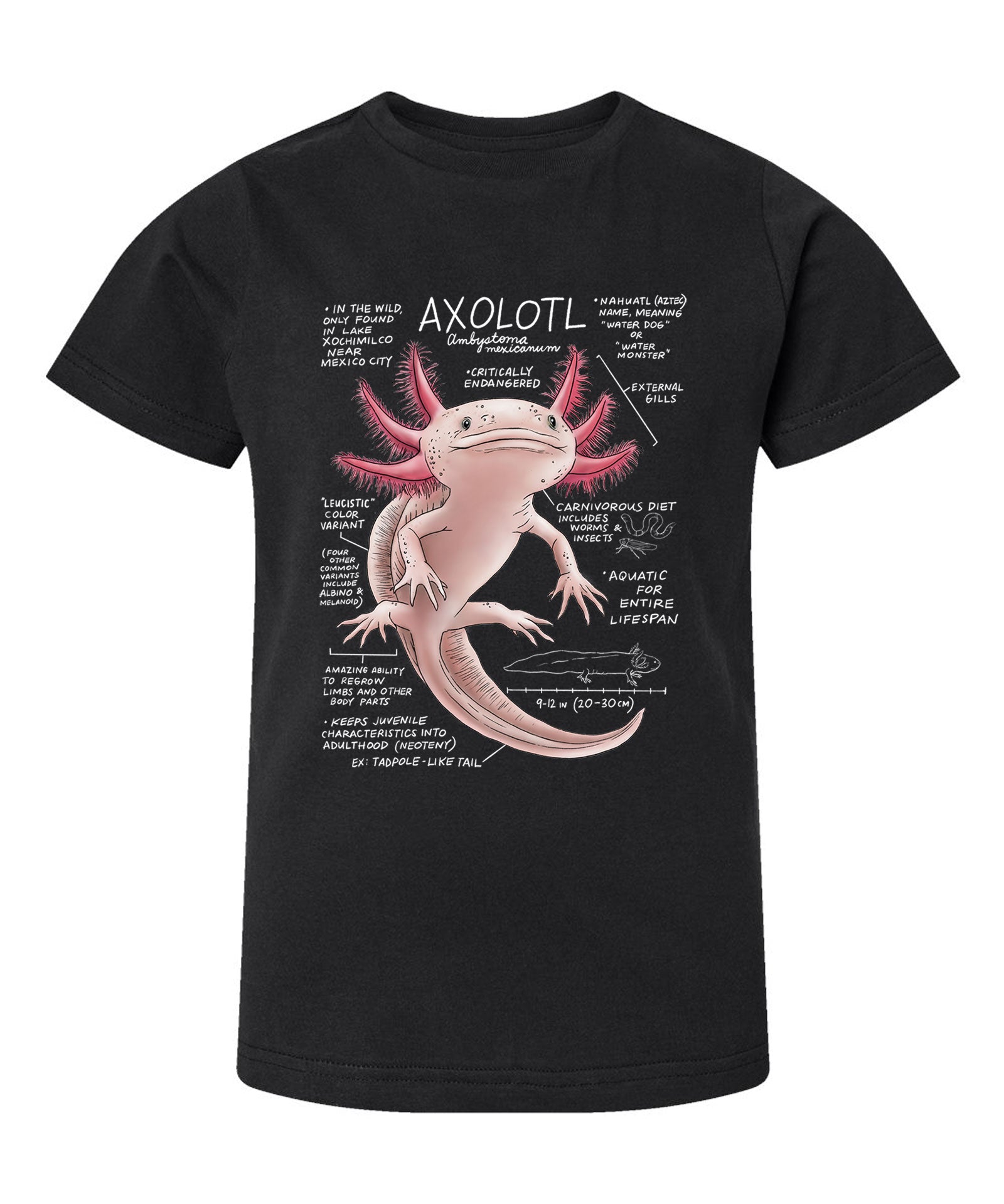 Black t-shirt with an axolotl graphic and text on a white background