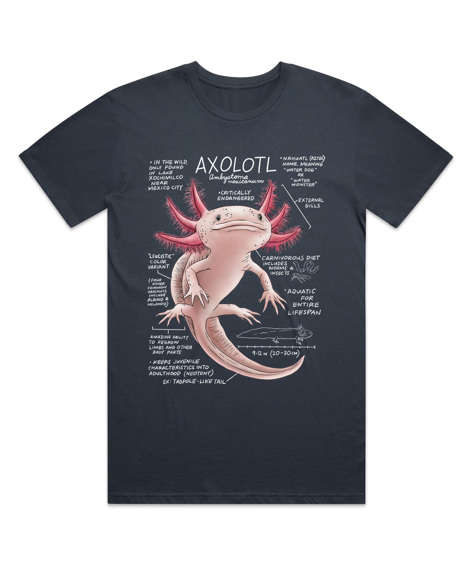 Black t-shirt with an axolotl graphic and text on a white background