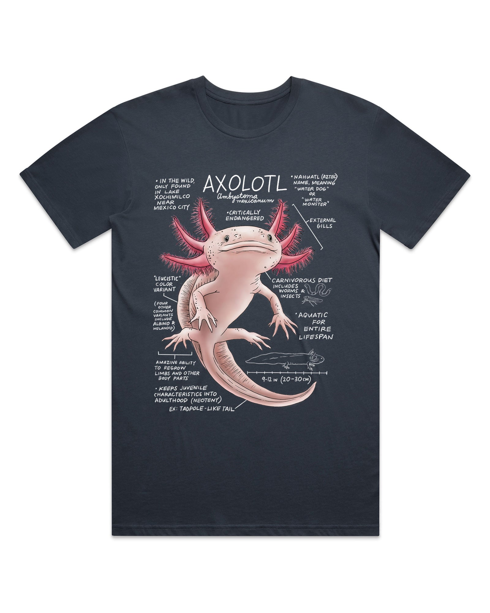 Black t-shirt with an axolotl graphic and text on a white background