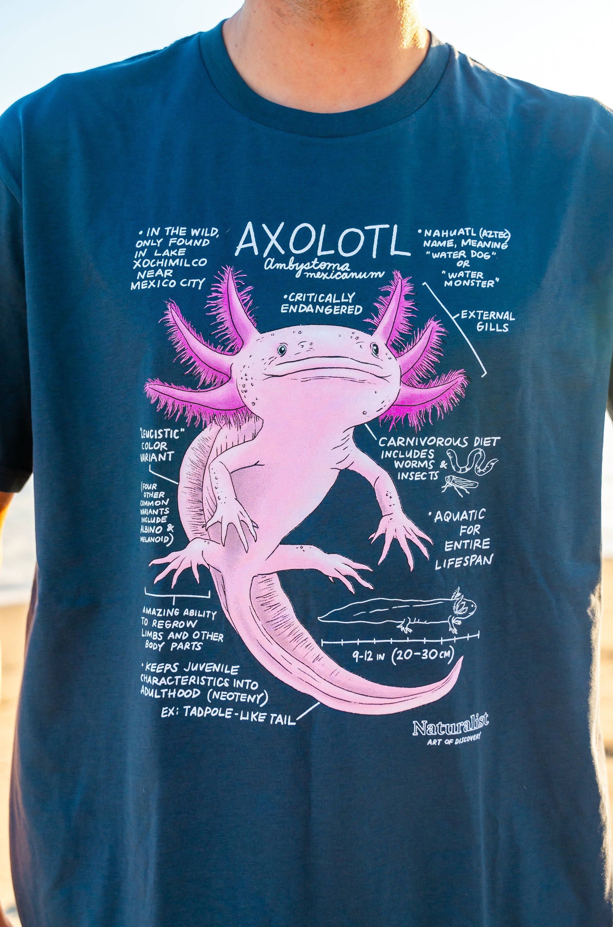Navy blue t-shirt with pink axolotl graphic and text on a blurred natural background