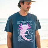 Man wearing a blue t-shirt with a pink axolotl graphic on a beach