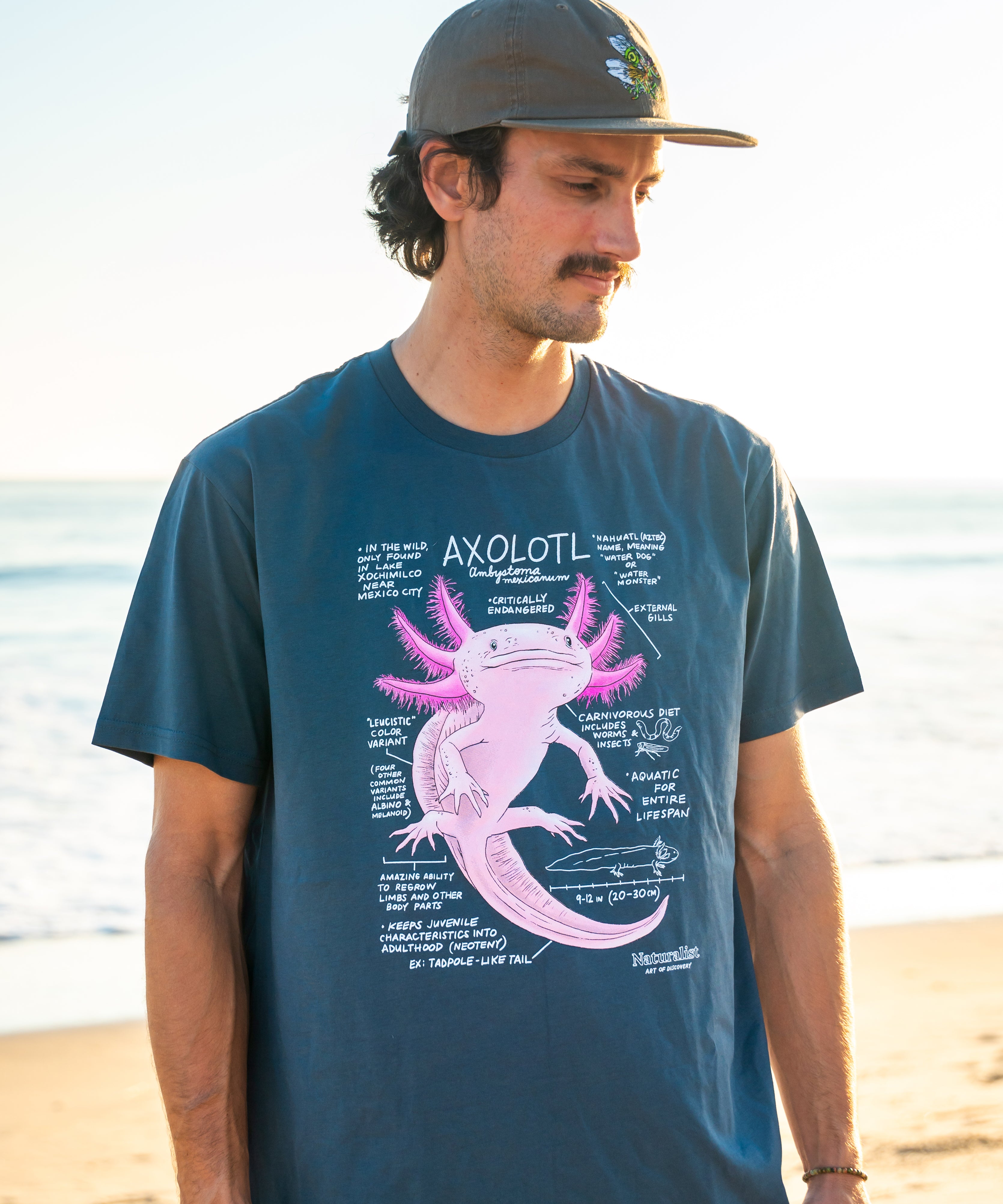 Man wearing a blue t-shirt with a pink axolotl graphic on a beach