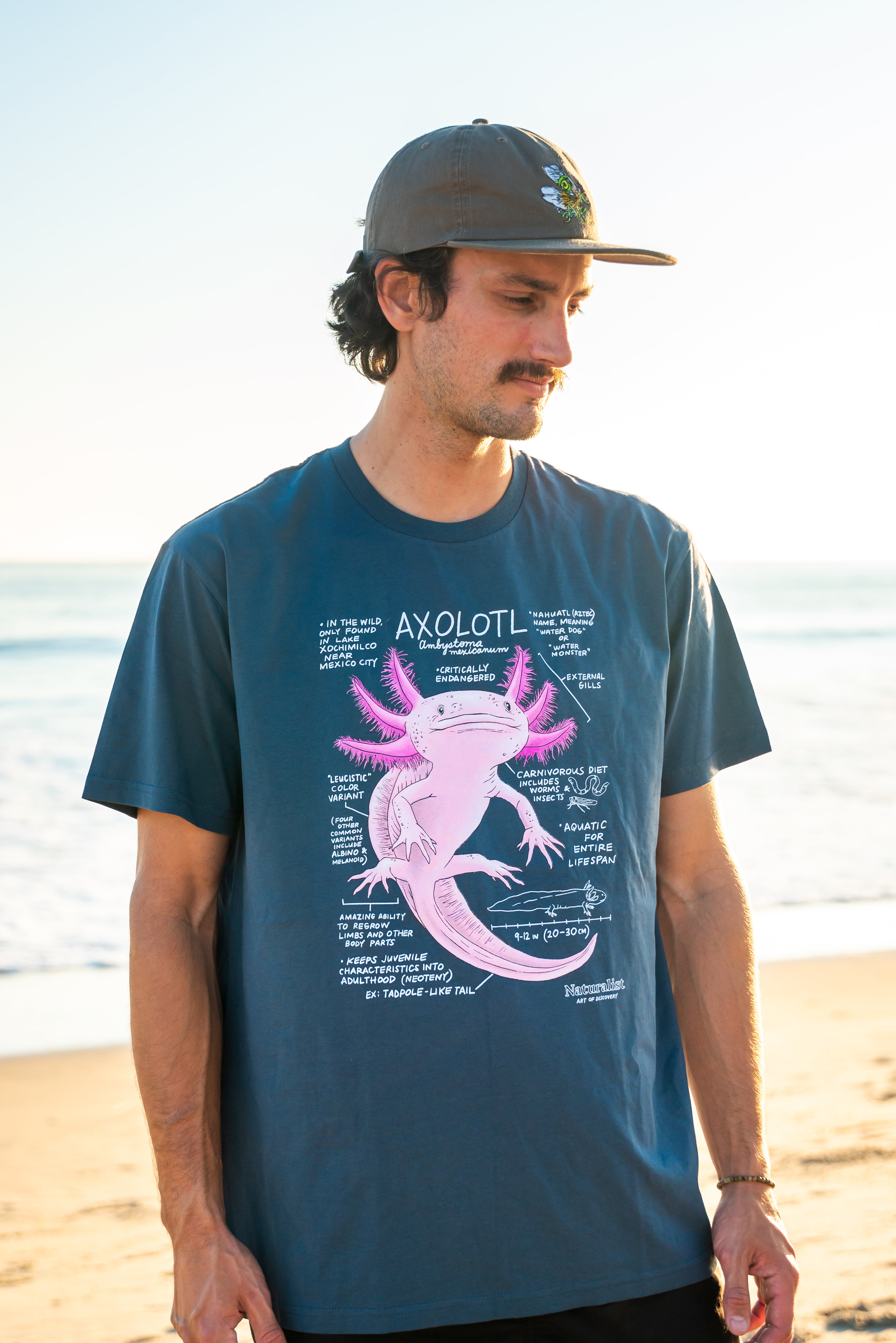 Man wearing a blue t-shirt with a pink axolotl graphic on a beach
