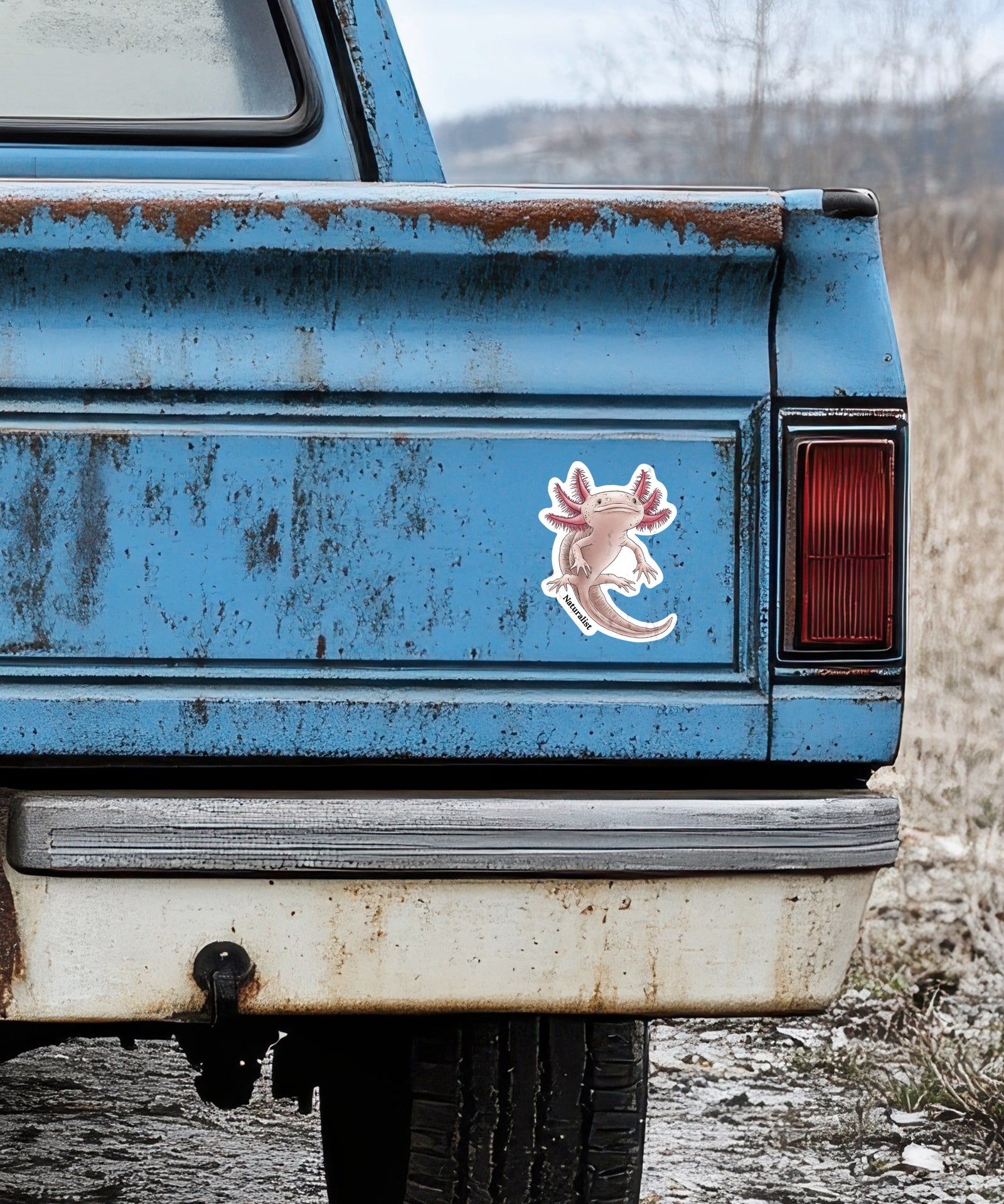 Rustic blue truck with a pink and white axolotl sticker on the back