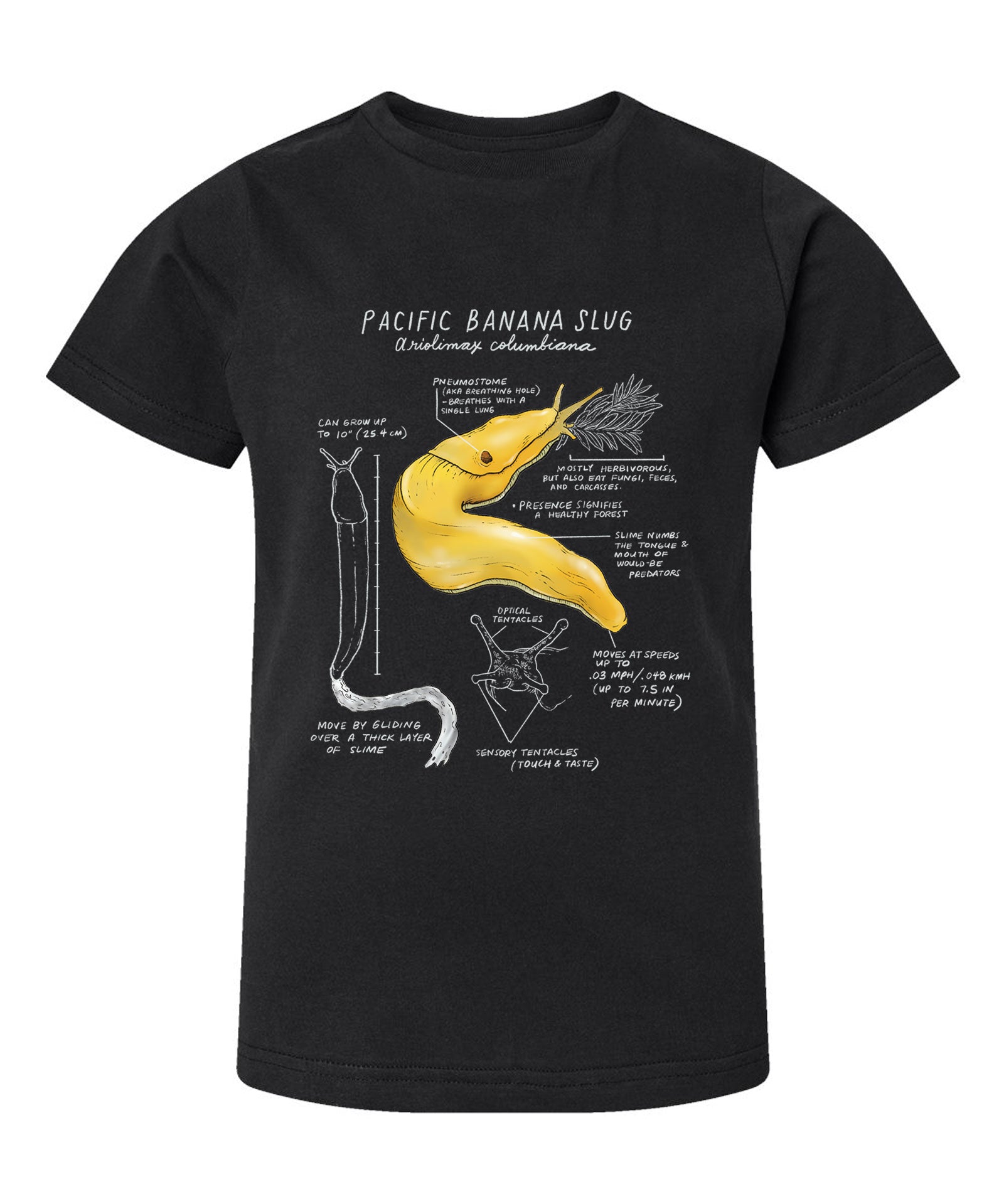 Black t-shirt with a Pacific banana slug illustration on a white background