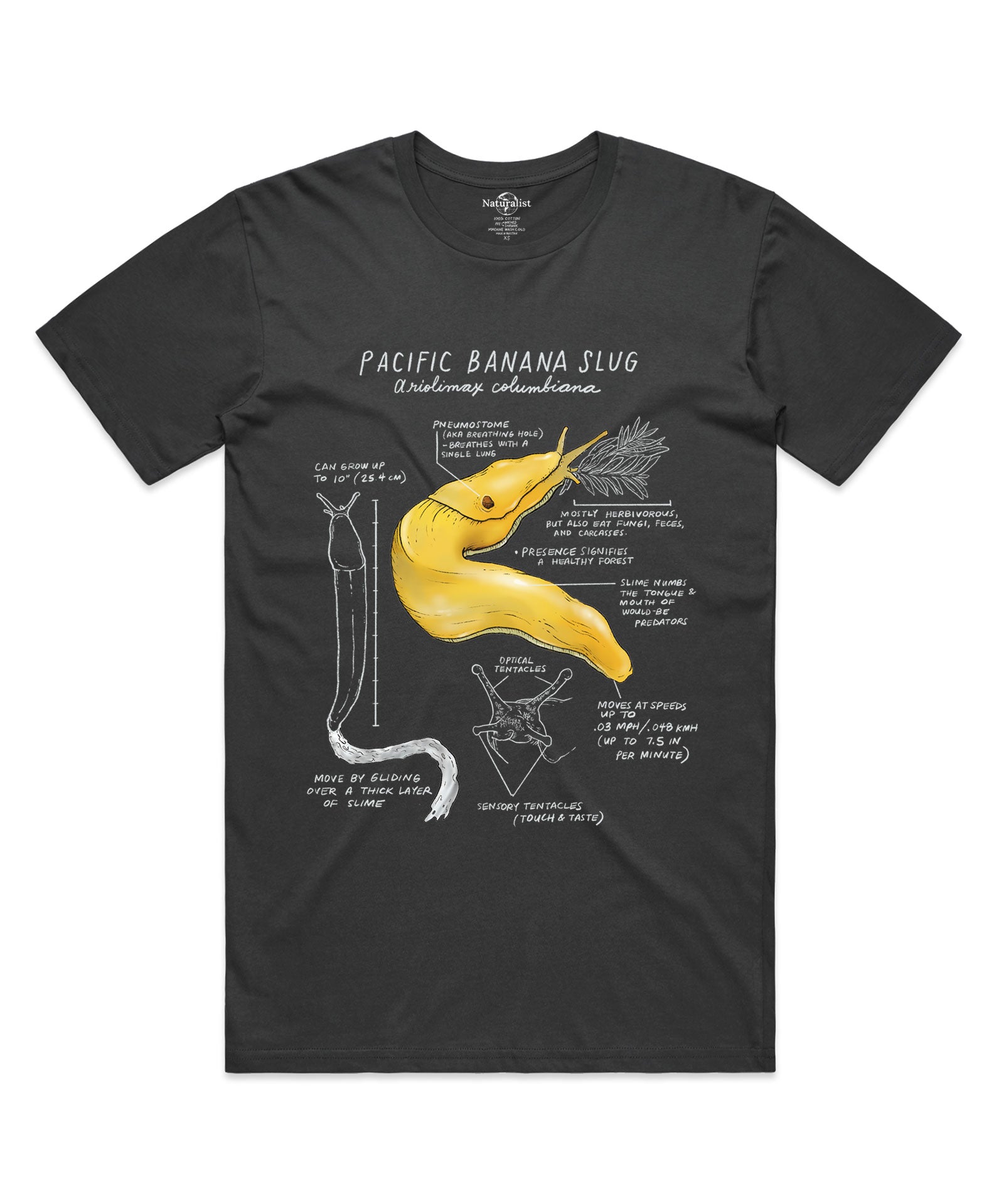 Black t-shirt with a yellow Pacific banana slug graphic and scientific text on a white background