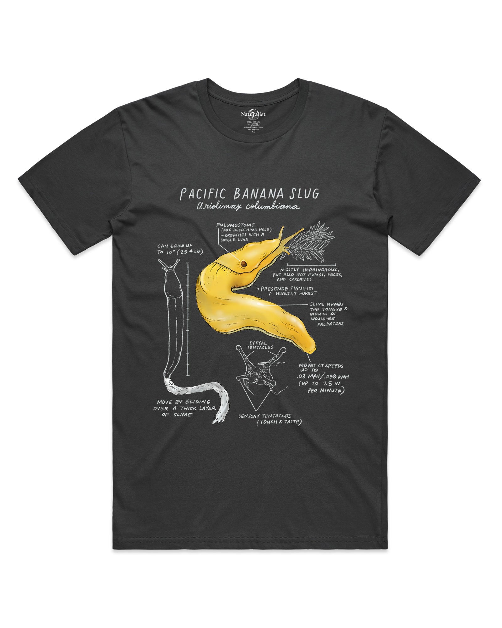 Black t-shirt with a yellow Pacific banana slug graphic and scientific text on a white background