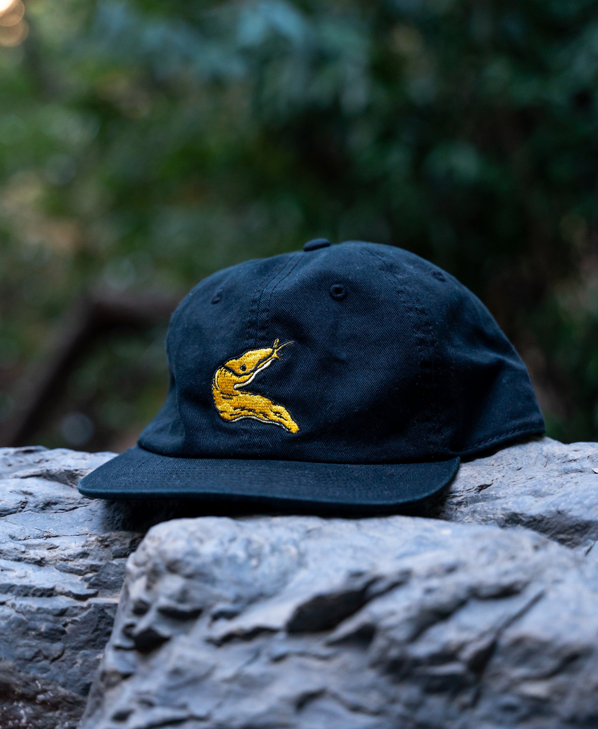 Navy blue cap with yellow banana slug design on a rock with blurred green foliage in the background