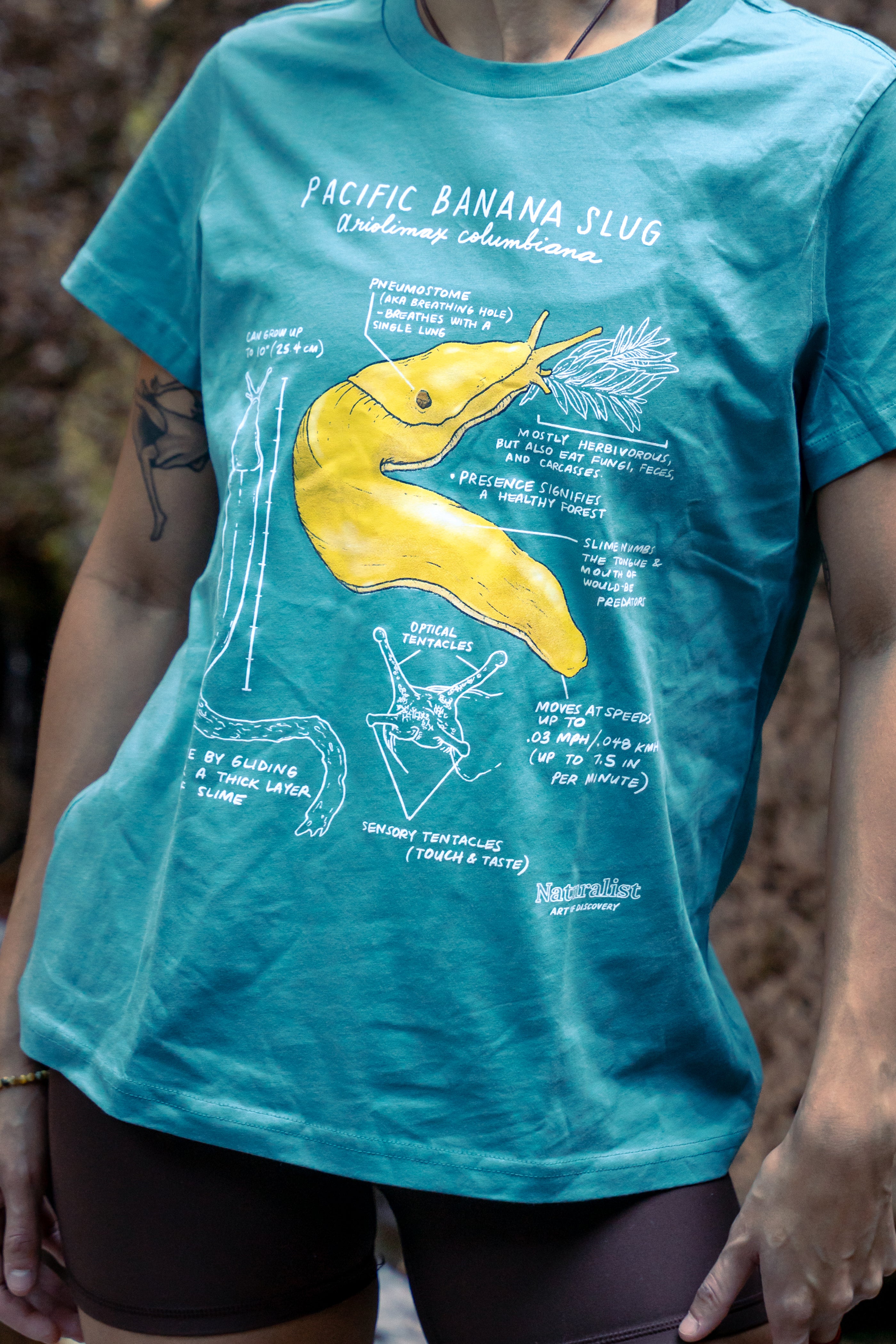 Person wearing a teal t-shirt with a yellow Pacific Banana Slug graphic and text.