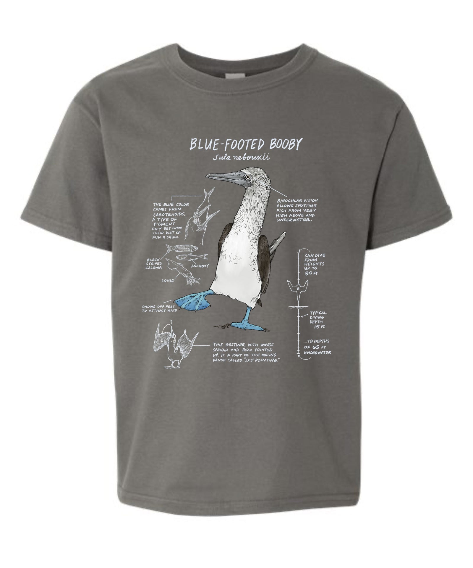 Blue footed booby illstration on a grey youth tee