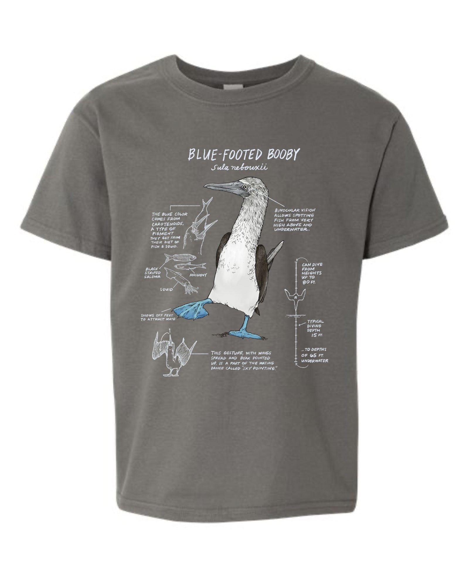 Blue footed booby illstration on a grey youth tee