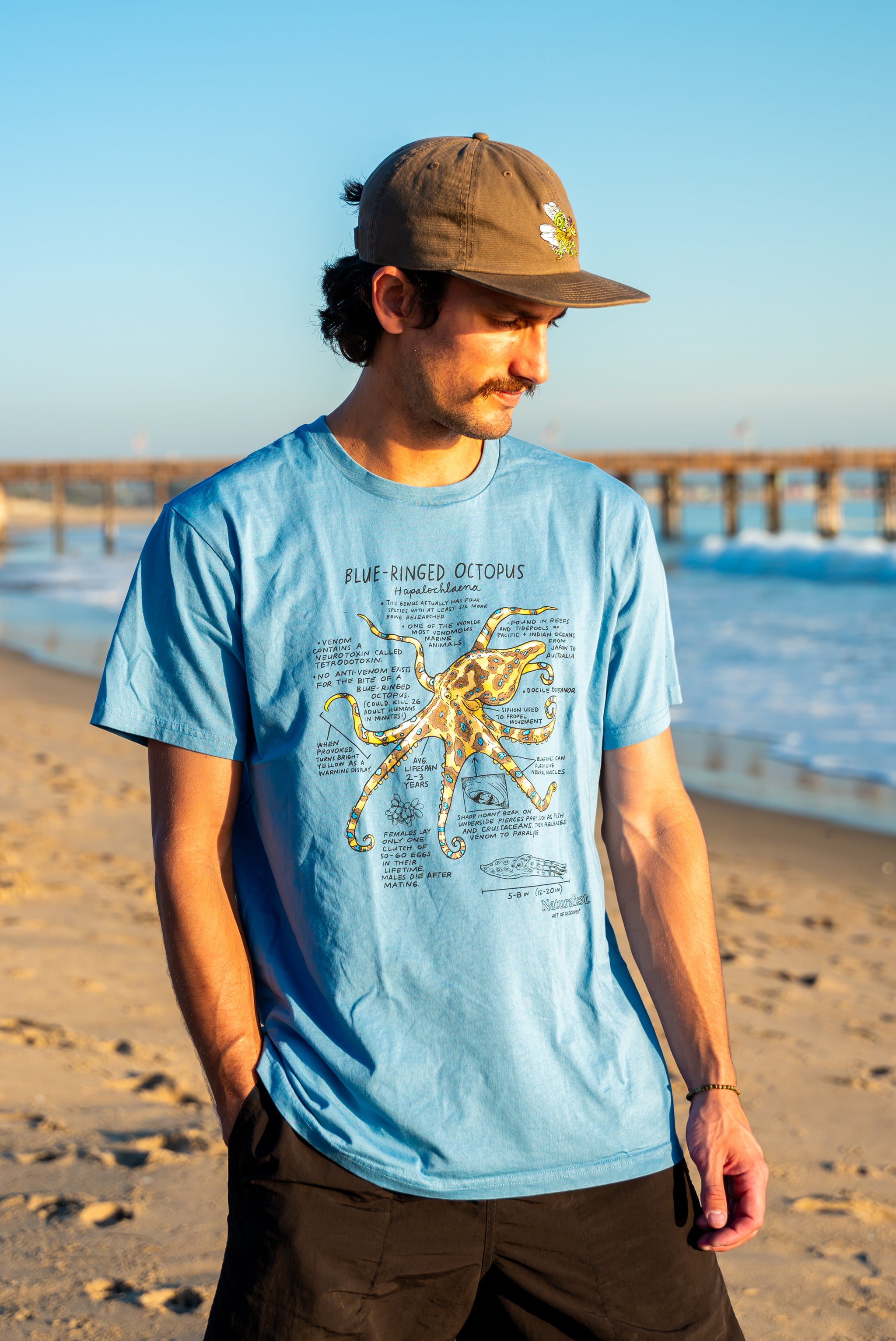 Man wearing a blue t-shirt with a graphic of a blue ringed octopus on a beach