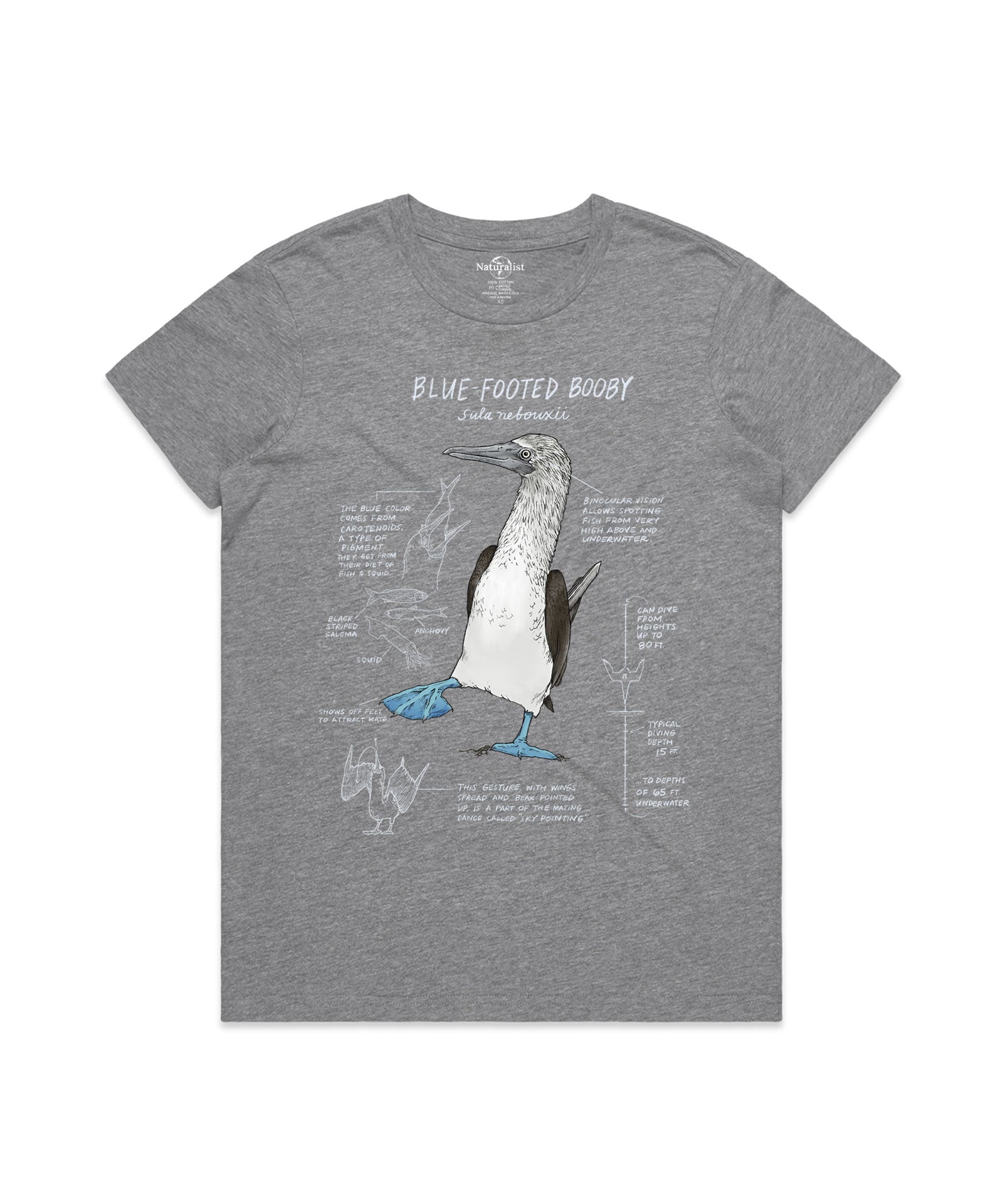 Gray t-shirt with a blue-footed booby illustration and text on a white background