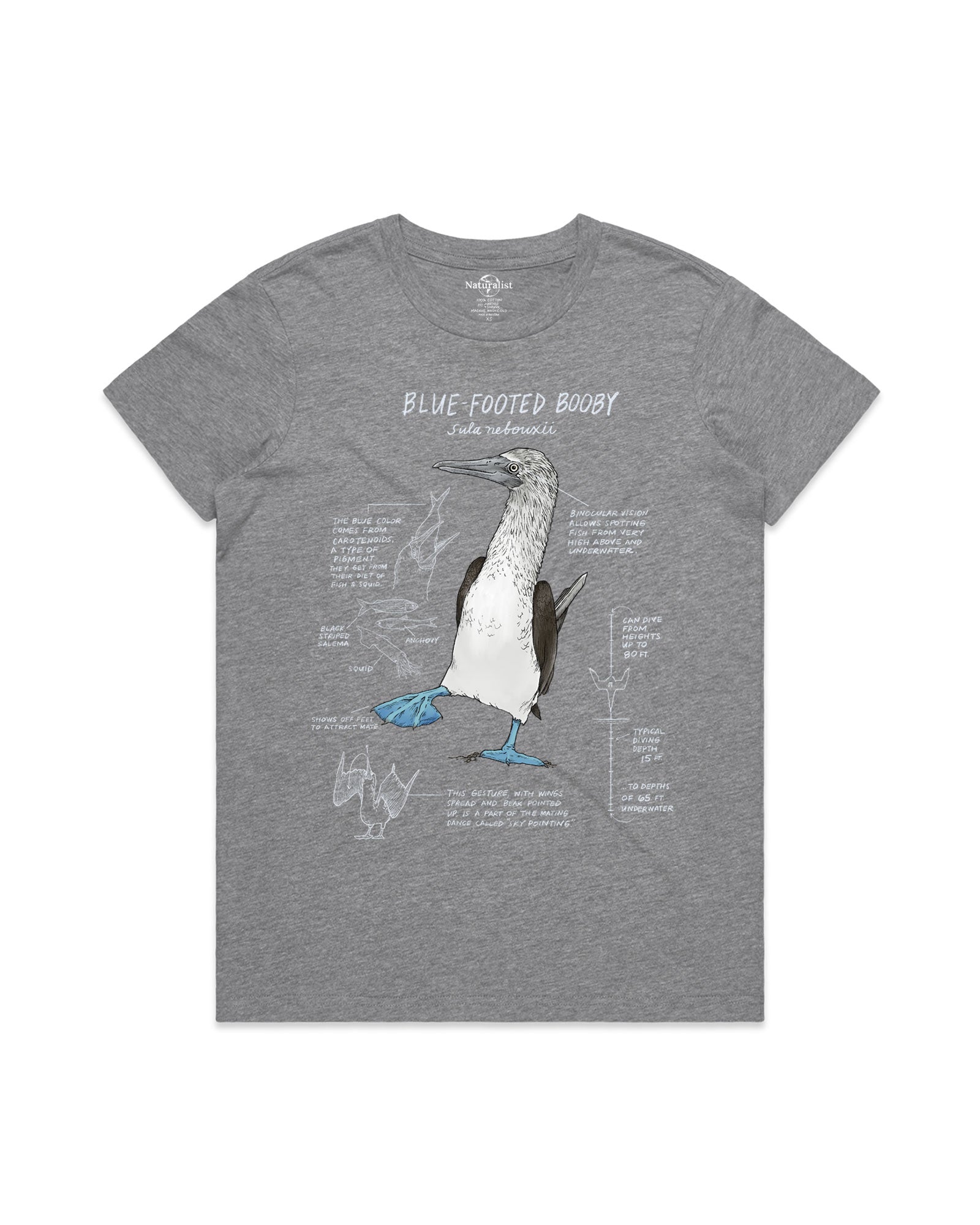Gray t-shirt with a blue-footed booby illustration and text on a white background